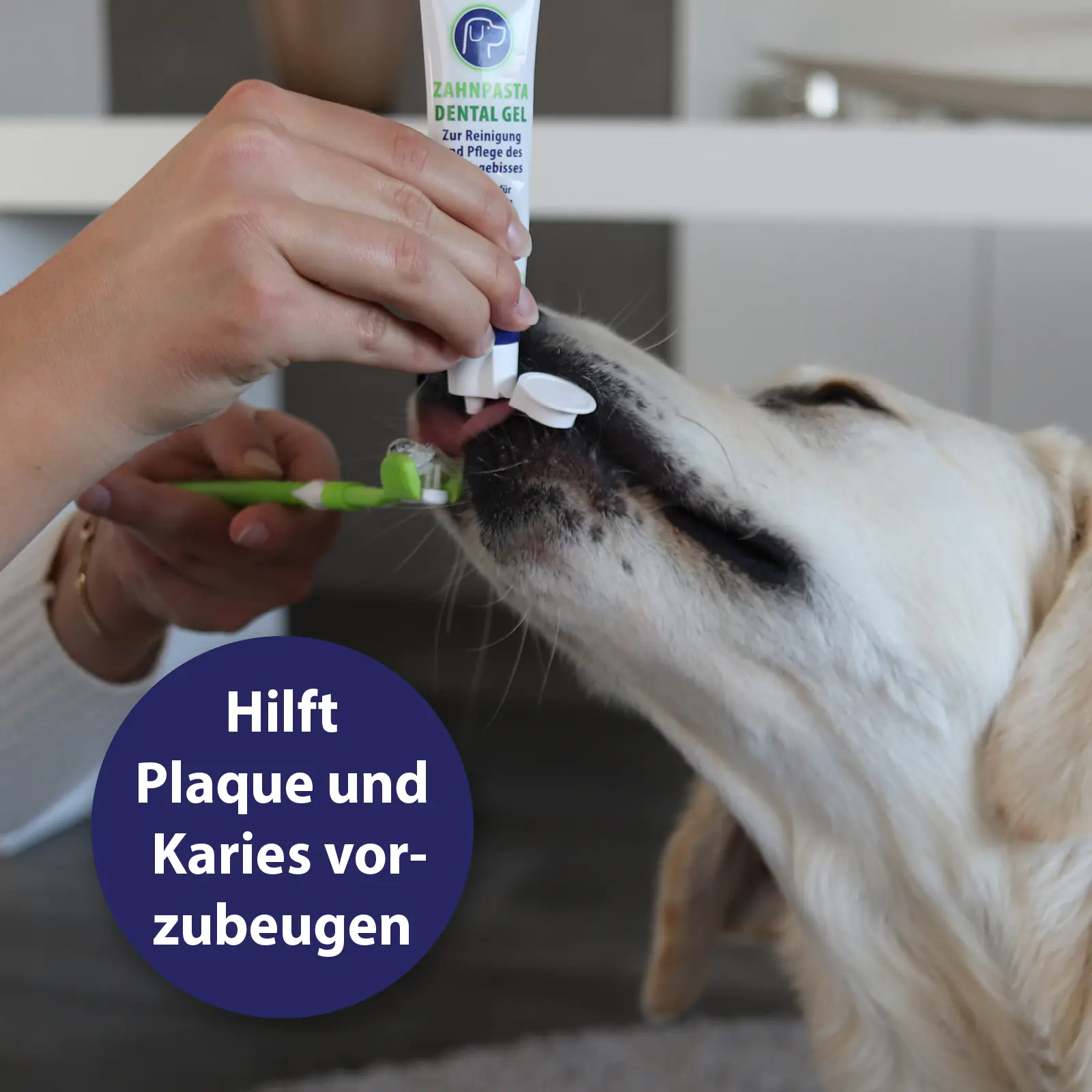 Canosept Zahnpasta Dental Gel für Hunde 100 g Canosept Zahnpasta Dental Gel für Hunde 100 g