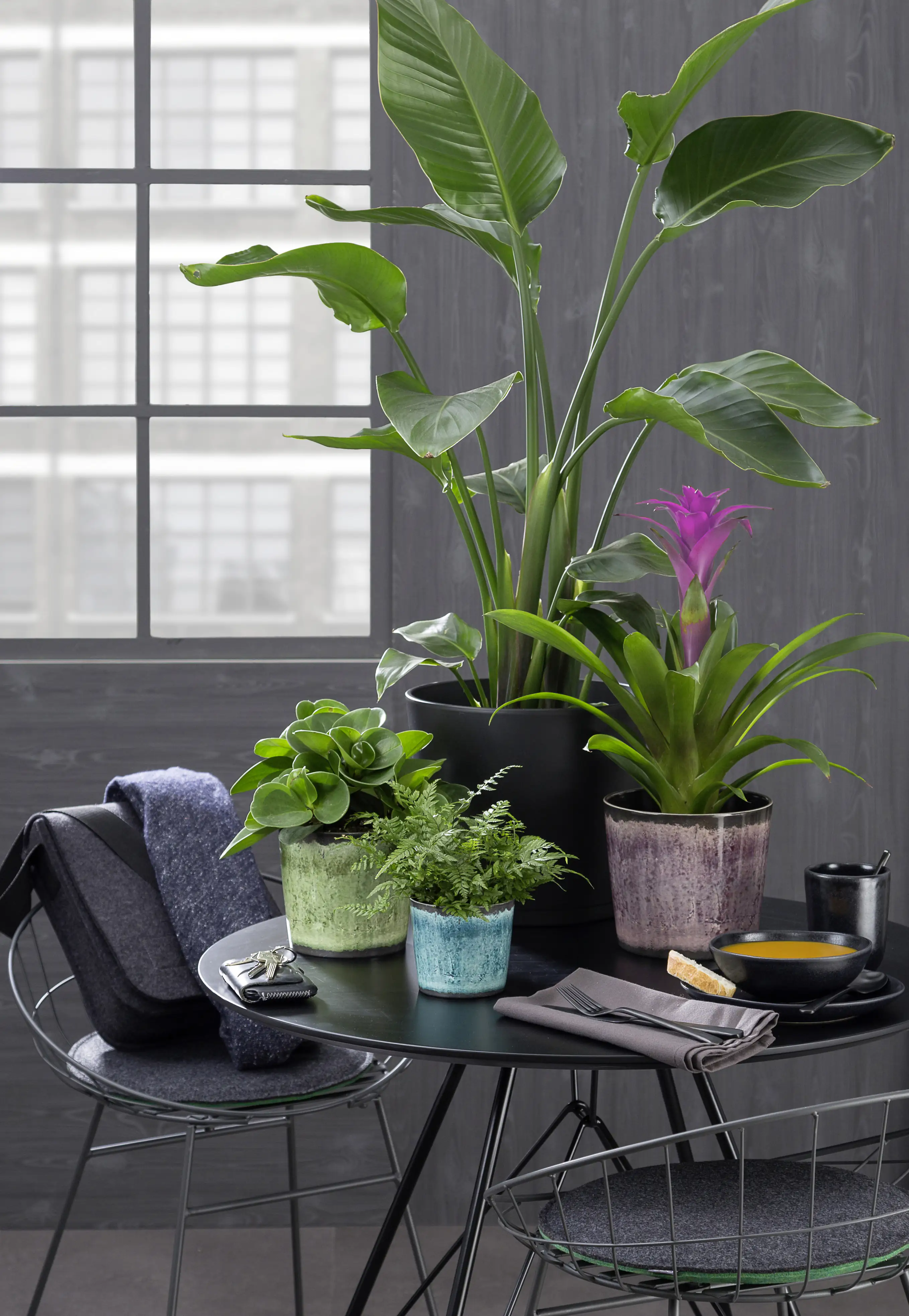 Scheurich Übertopf Tradition Ø 20,9 x 18,2 cm malva glaze