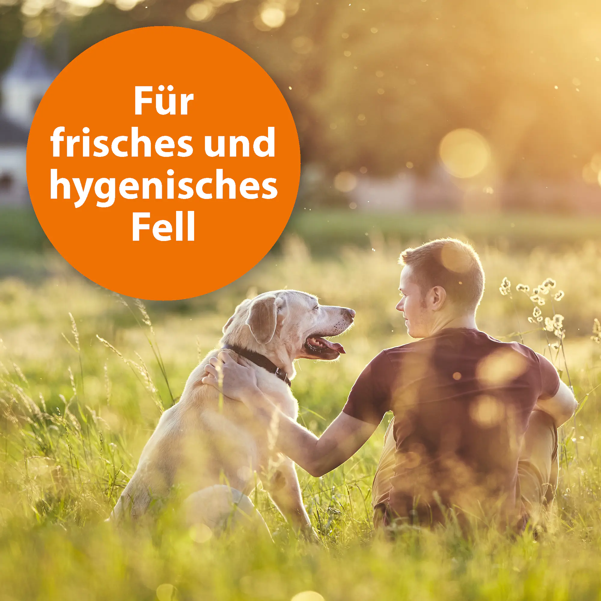 ARDAP Anti Zecken-Shampoo für Hunde 250 ml ARDAP Anti Zecken-Shampoo für Hunde 250 ml