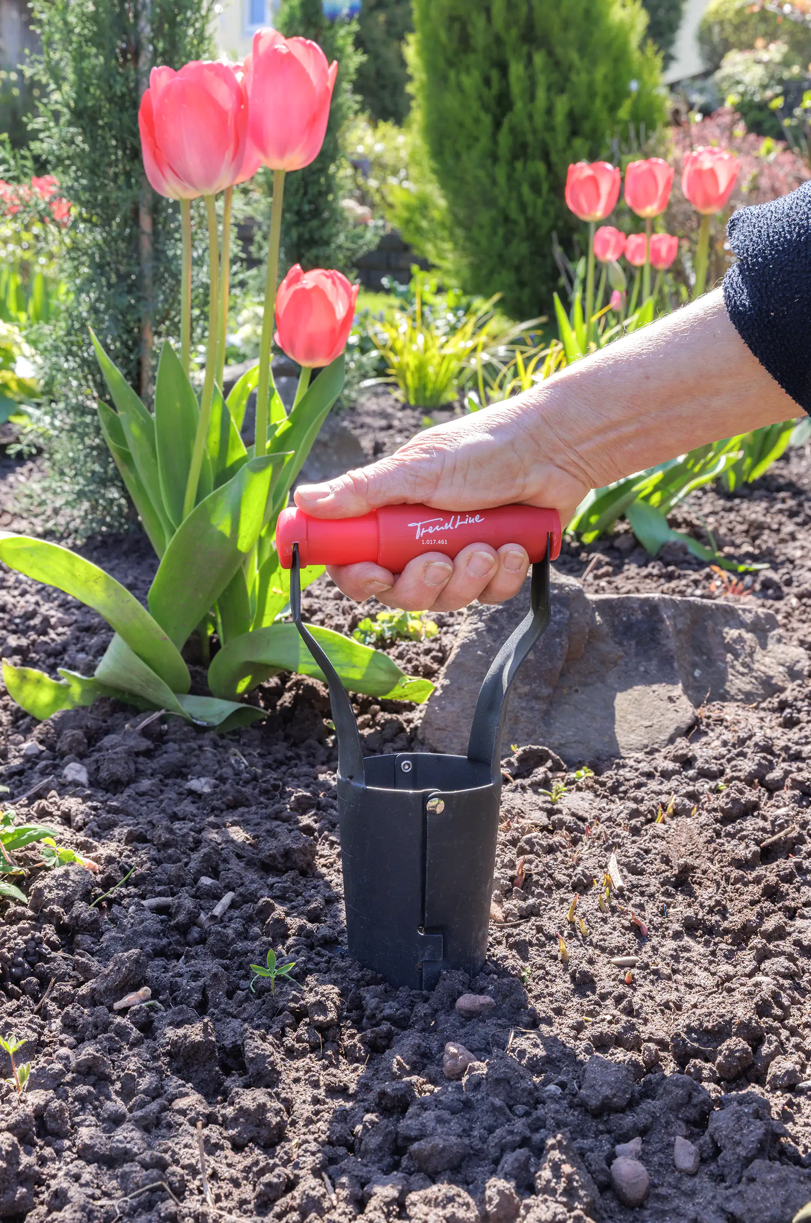 TrendLine Blumenzwiebel-Pflanzer
