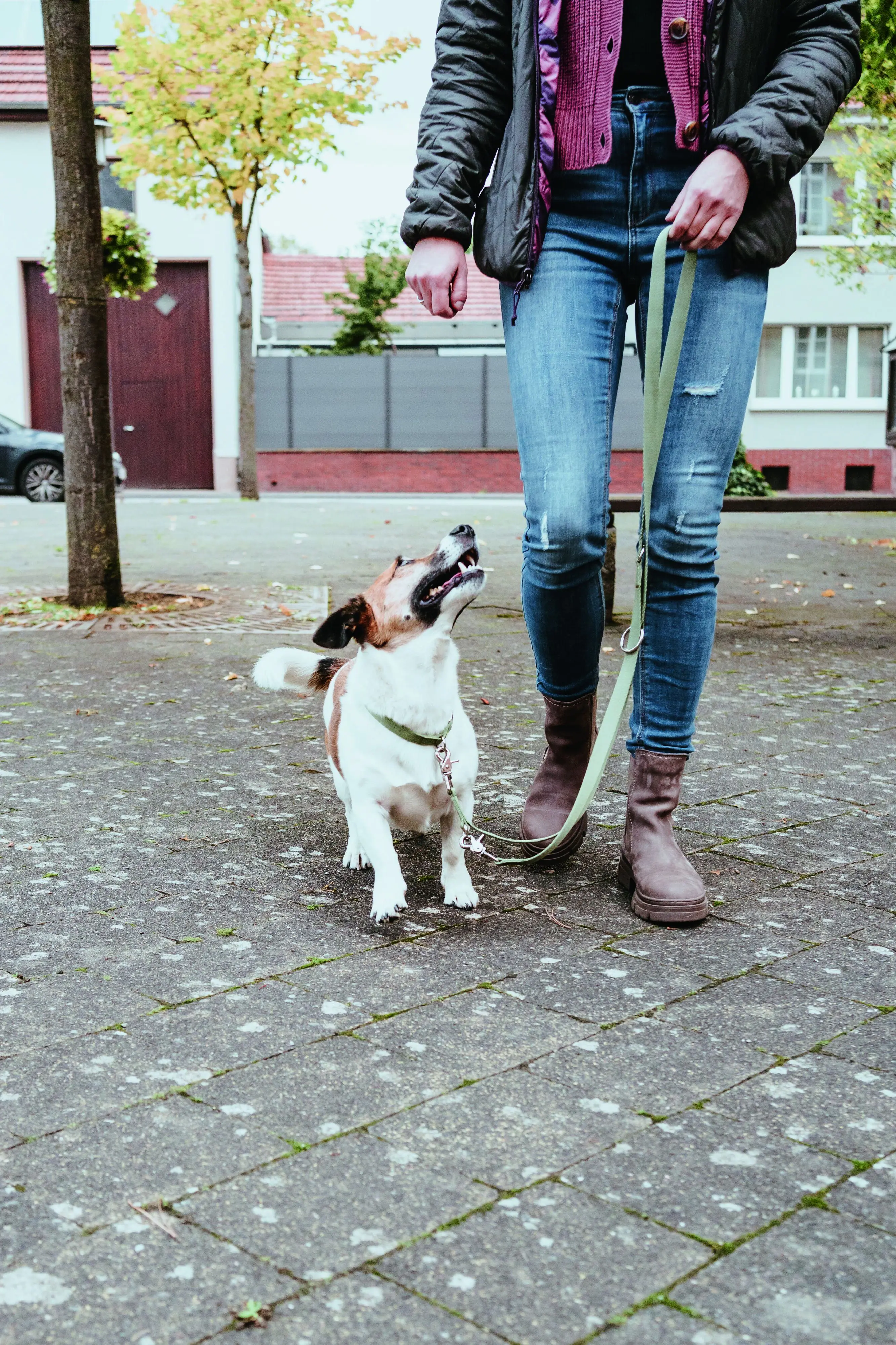 Hunter Hundehalsband Inari Alu-Strong M lindgrün