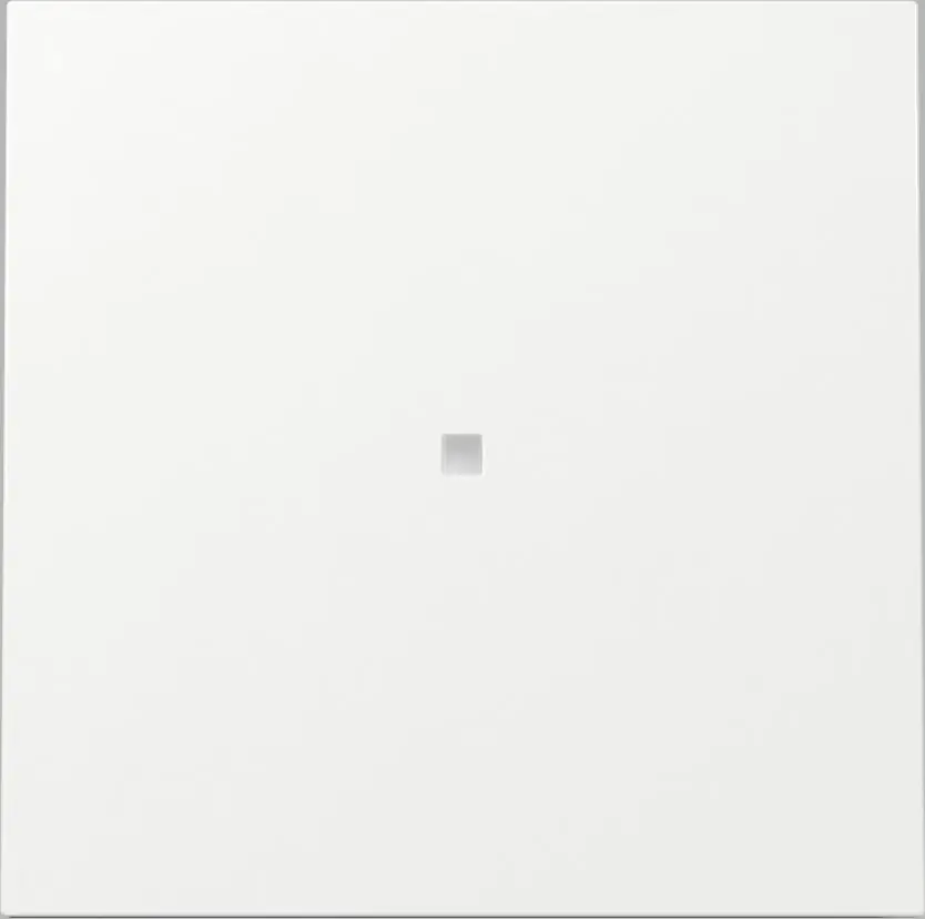 Gira Kontrollwippe Flächenschalter grau 329070