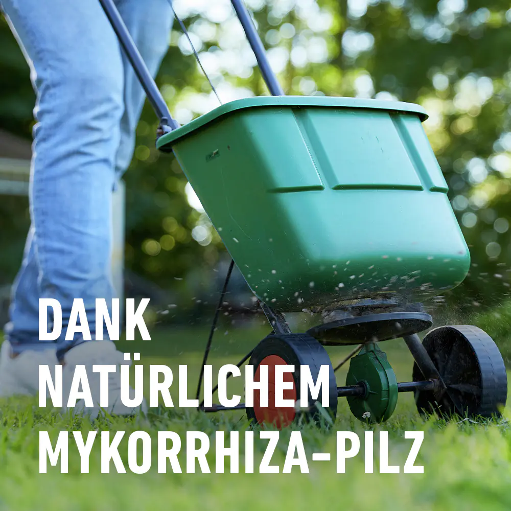 Compo Rasendünger Turbo 5 kg