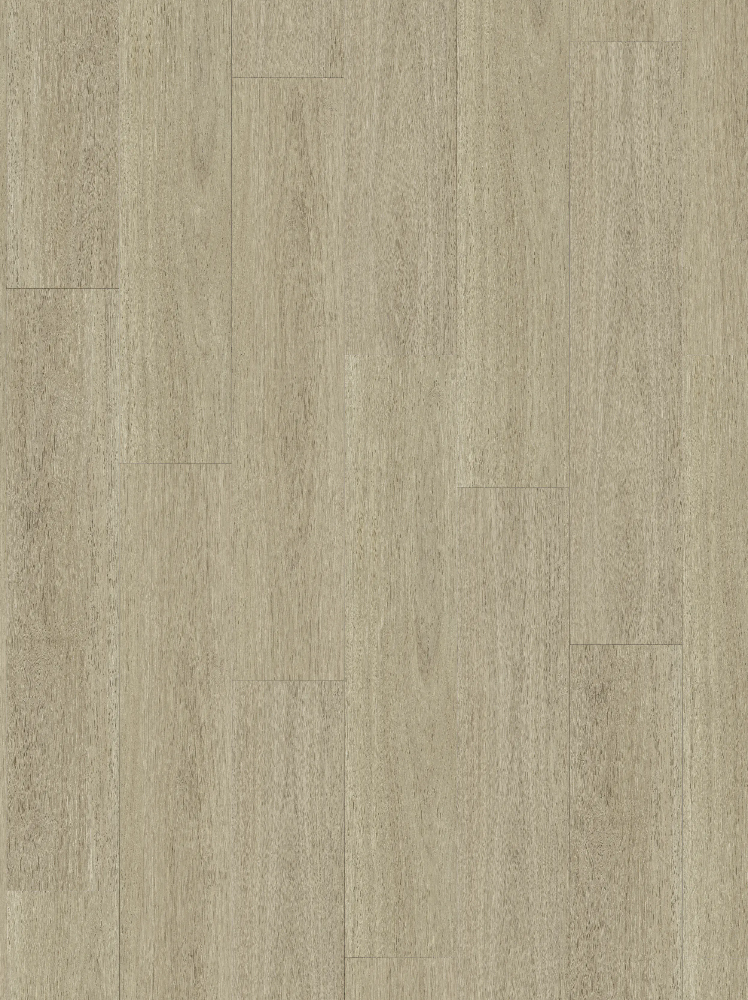 Parador Vinylboden mit Trillschalldämmung Basic 5.3 Eiche Oxford geschliffen