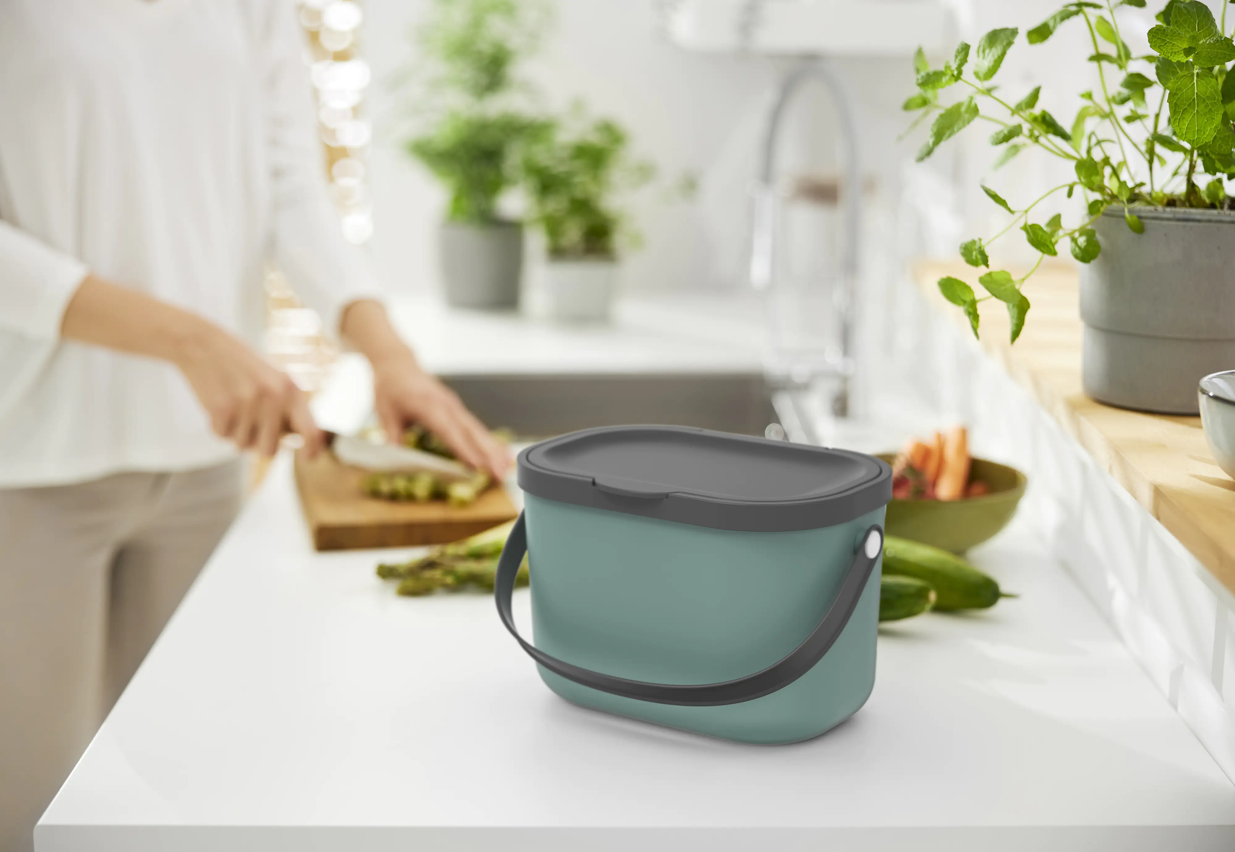 Rotho Mülltrennungssystem 3,2 L Albula mistletoe grün Rotho Mülltrennungssystem 3,2 L Albula mistletoe grün