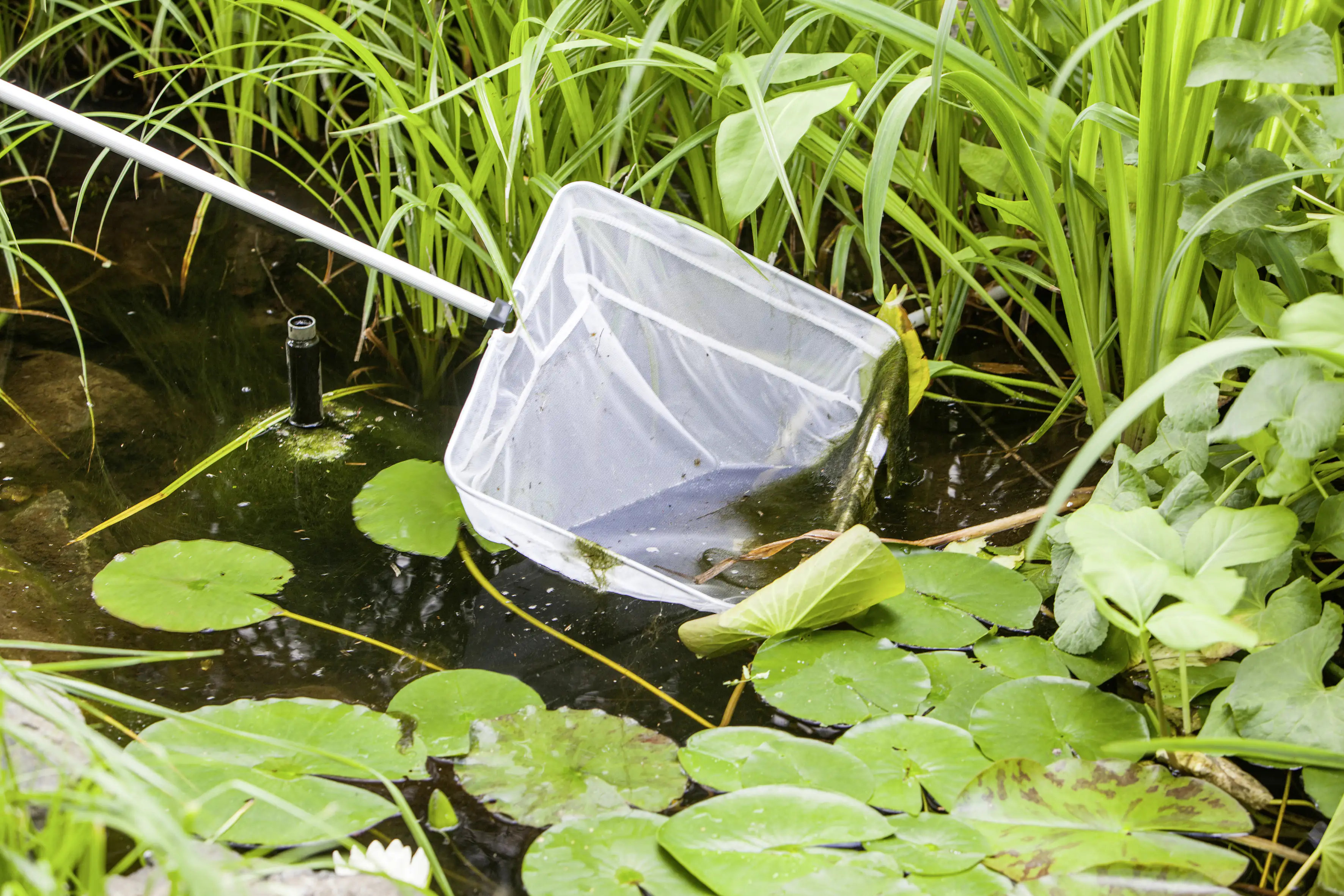 4006873426752 Heissner Teichkescher Profi