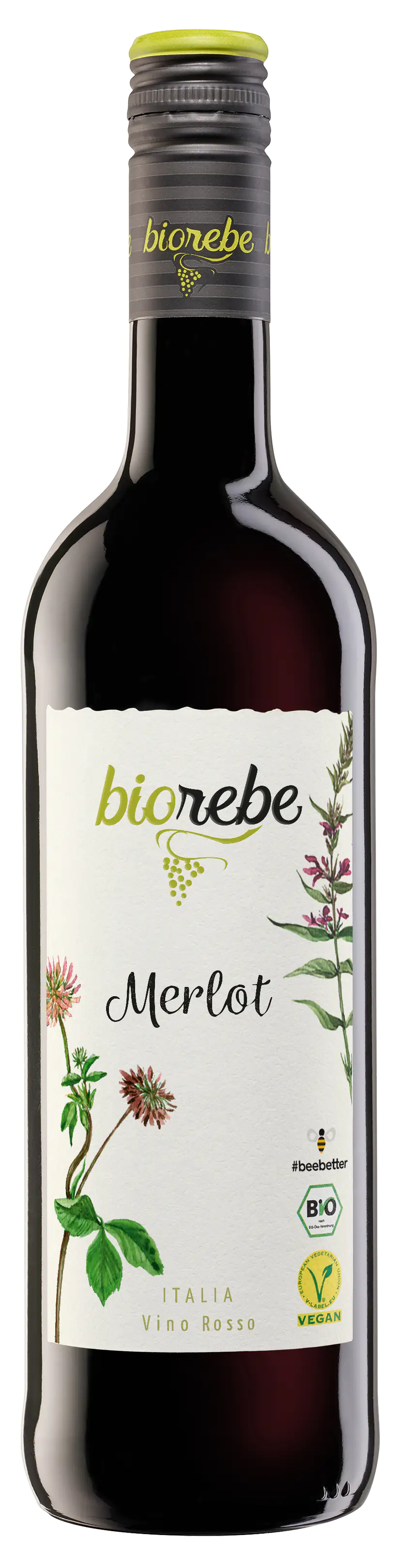 Biorebe Rotwein Merlot trocken Italien 1 x 0,75 L bio/vegan