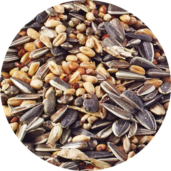 4000610078976_01 Elles Streufutter für Wildvögel 5 kg