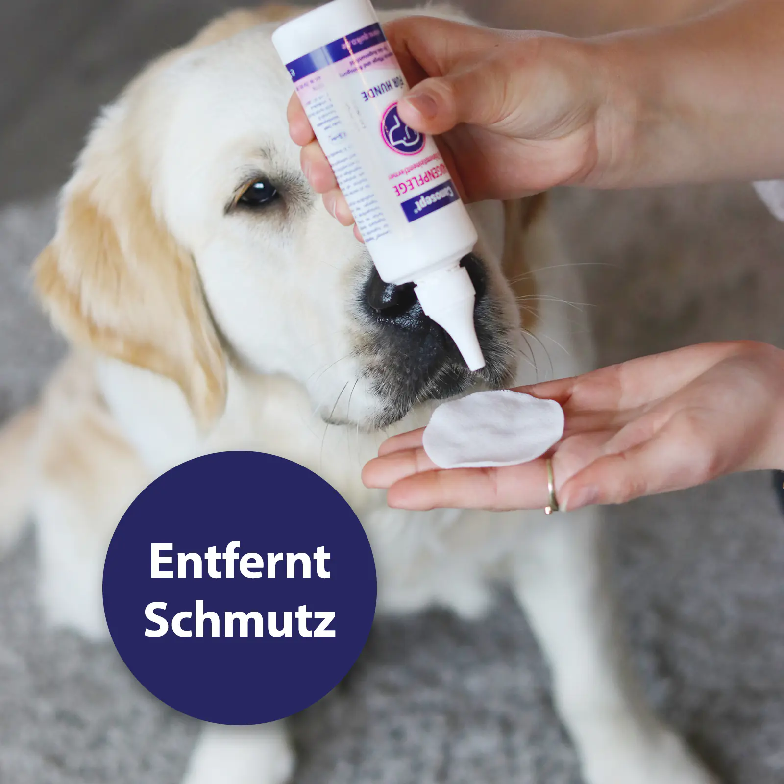 Canosept Augenpflege für Hunde 120 ml Canosept Augenpflege für Hunde 120 ml