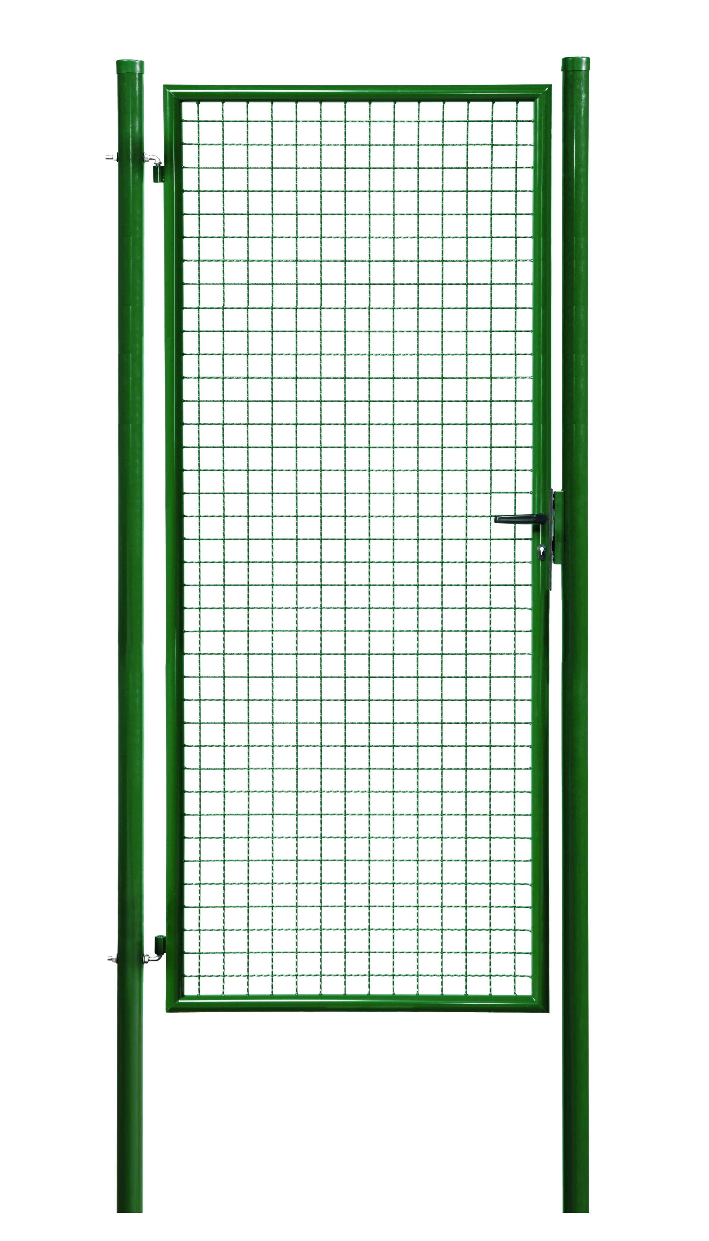 Floraworld Gartentor Standard 100 x 200 cm moosgrün