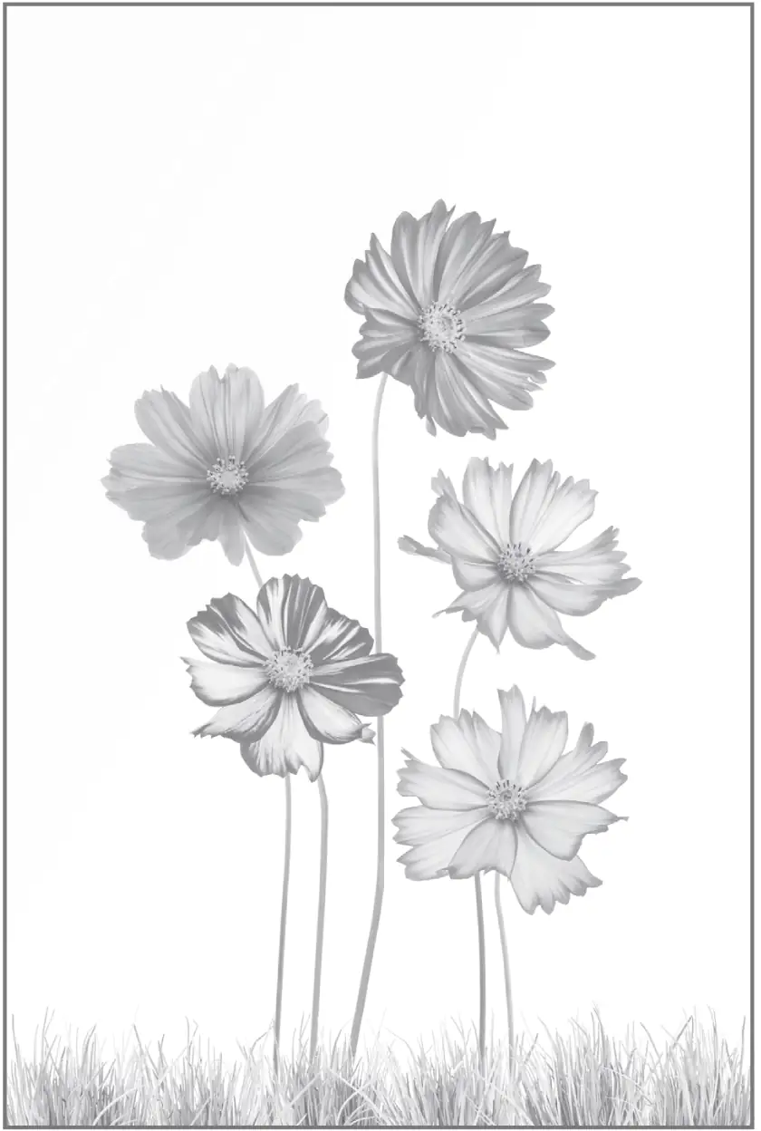 Ambiente Glaszaun Dekor 93 120 x 180 cm gehärtetes 8 mm Glas