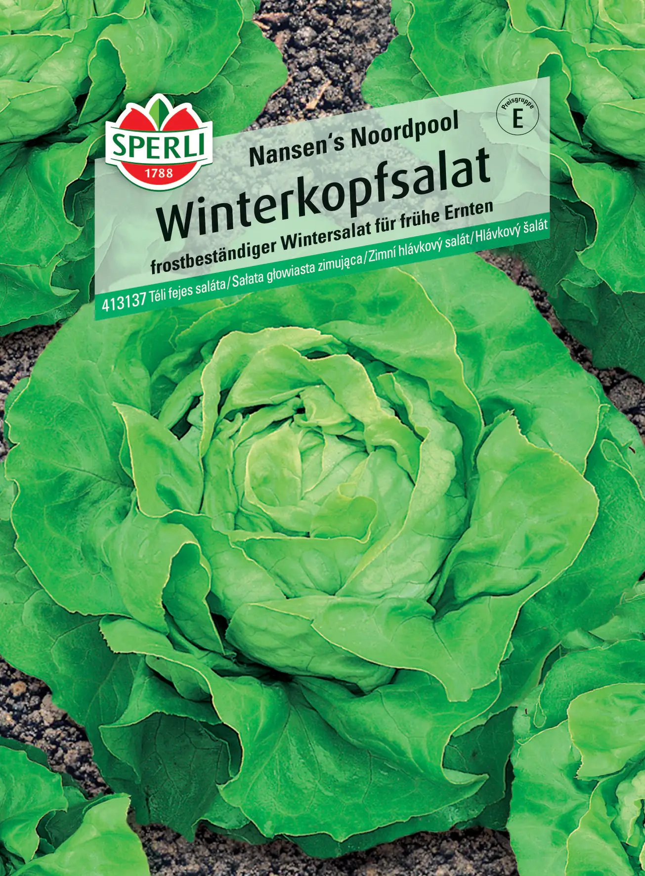 Sperli Winterkopfsalat Nansen's Noordpool Sperli Winterkopfsalat Nansen's Noordpool