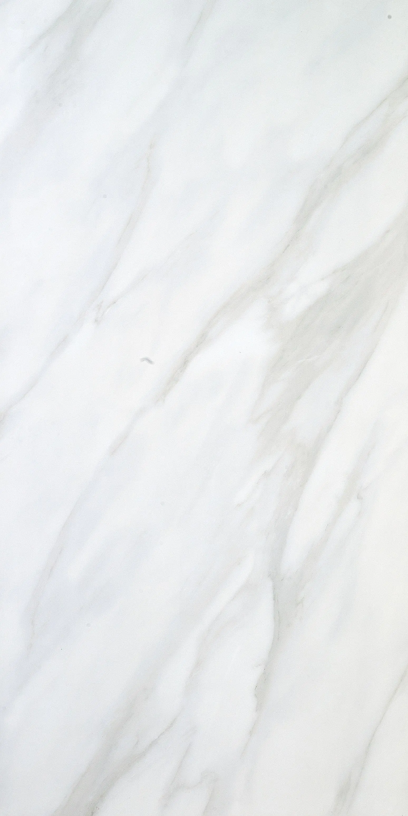 Eurostone Bodenfliese Feinsteinzeug Ceratec Calacatta glasiert glänzend 60 x 120 cm Eurostone Bodenfliese Feinsteinzeug Ceratec Calacatta glasiert glänzend 60 x 120 cm