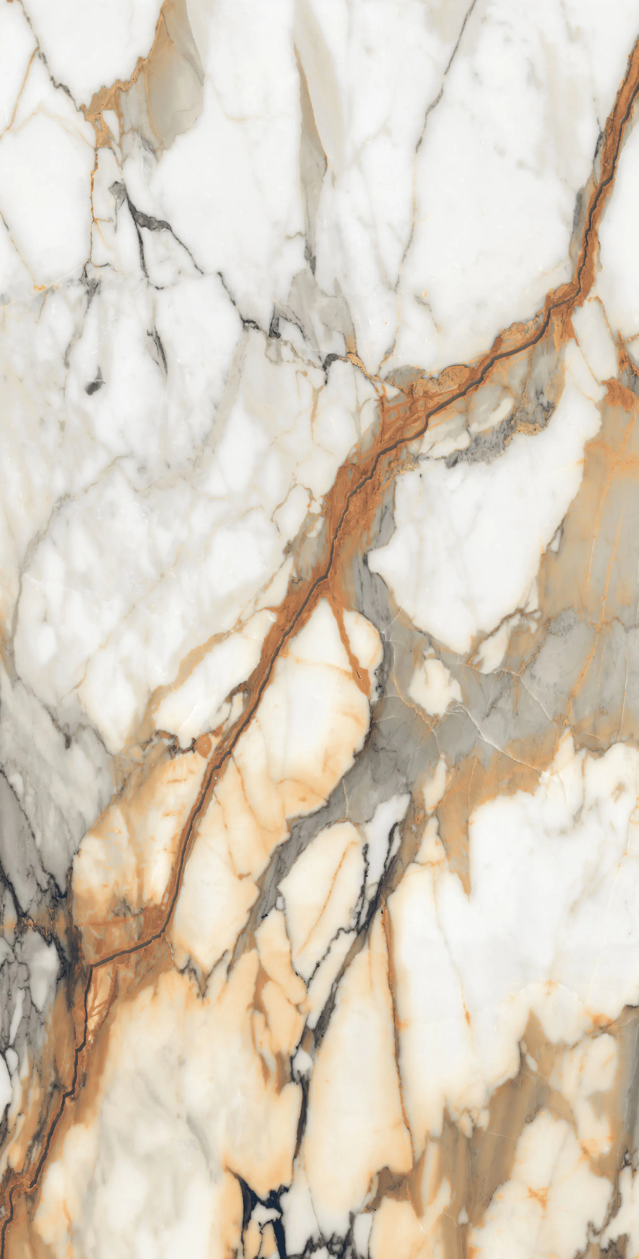 Bodenfliese Feinsteinzeug Visage Gold Plus 60 x 120 cm weiß