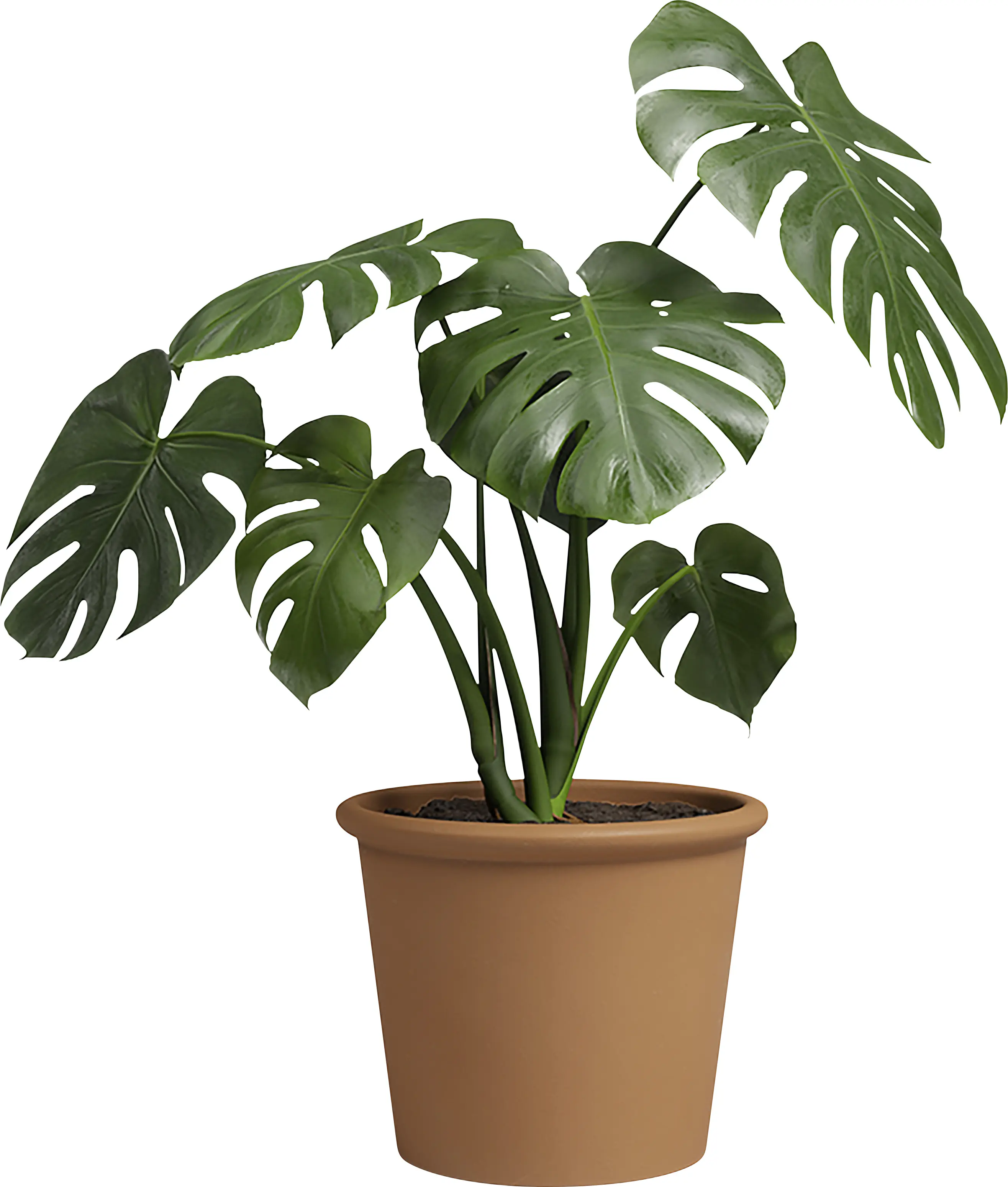 Artevasi Pflanztopf Saramago Cilindro Terrakotta tonrot Ø 44 x 36 cm