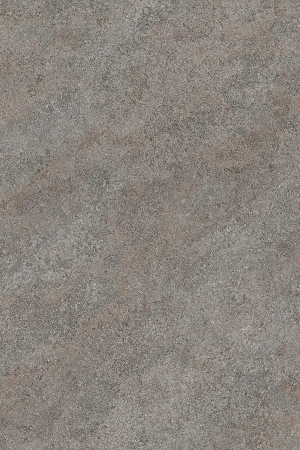 Kronoflooring Arbeitsplatte Grey Albus 246 x 63,5 x 3,8 cm eiche