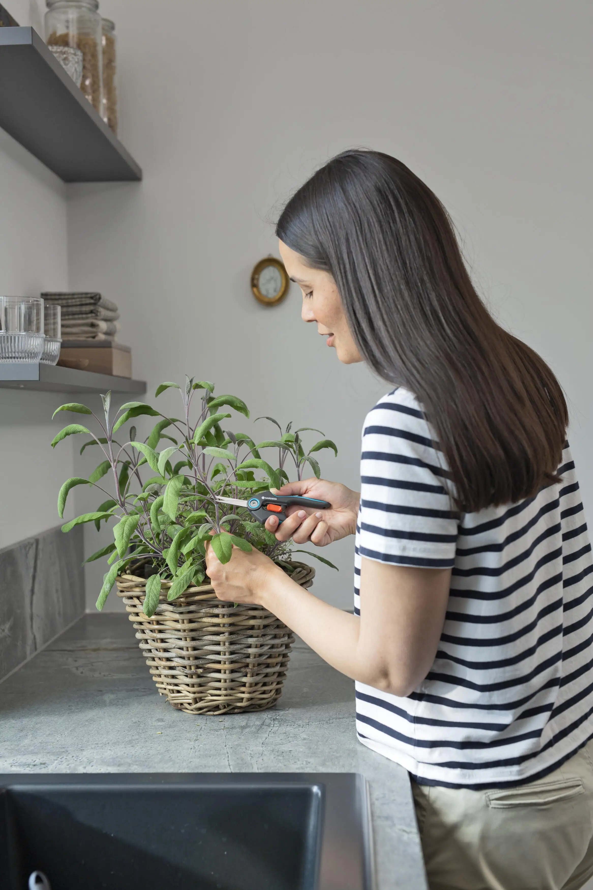 Gardena Schere FreshCut Gardena Schere FreshCut