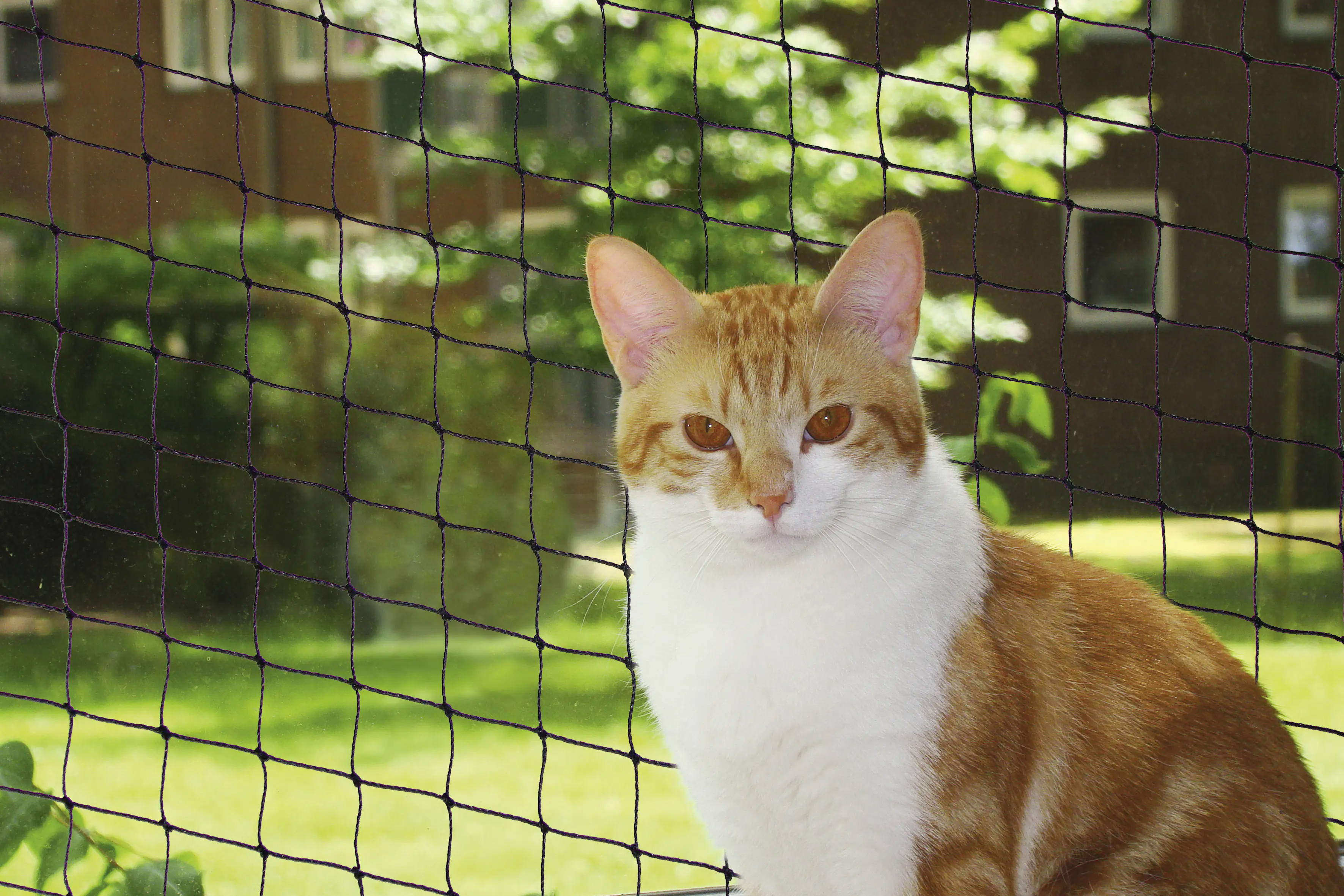 Nobby Katzenschutznetz schwarz Größe L 8 x 3 m