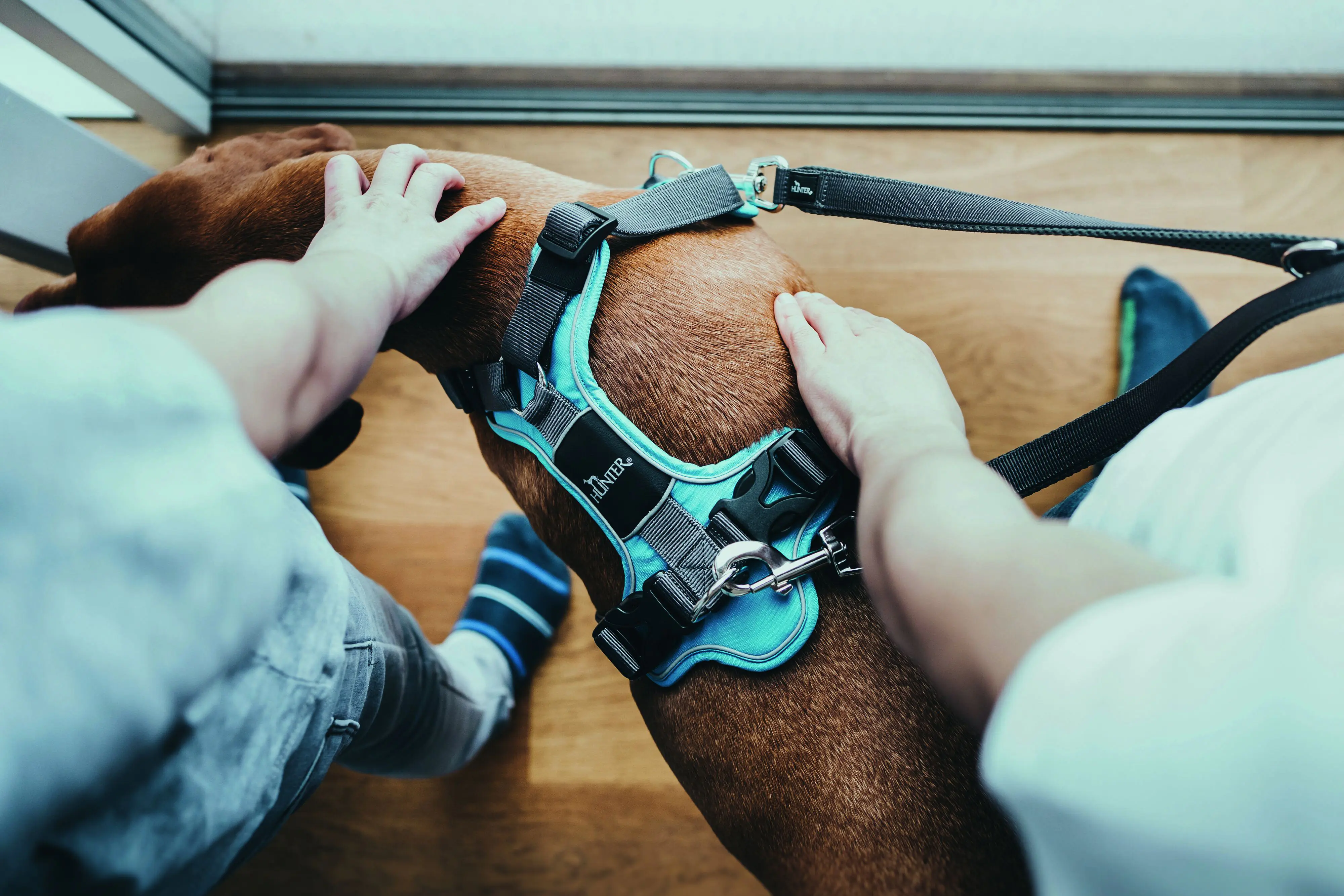 Hunter Hundeleine Führleine verstellbar Divo/Maldon 2 m x 2,5 cm grau