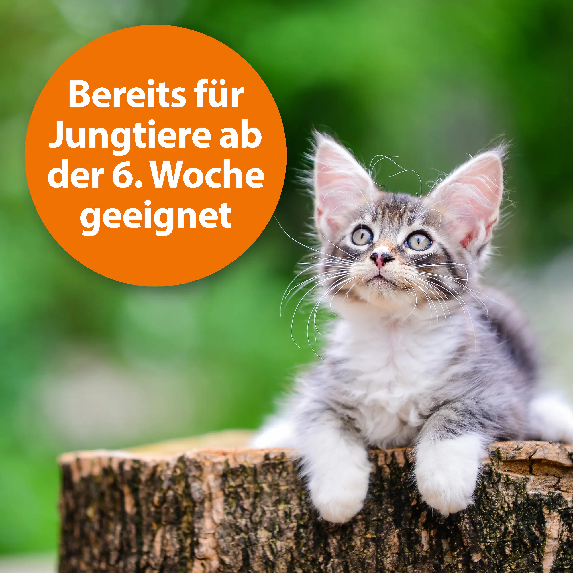 ARDAP Zecken- und Flohschutzpuder für Tiere 150 g ARDAP Zecken- und Flohschutzpuder für Tiere 150 g