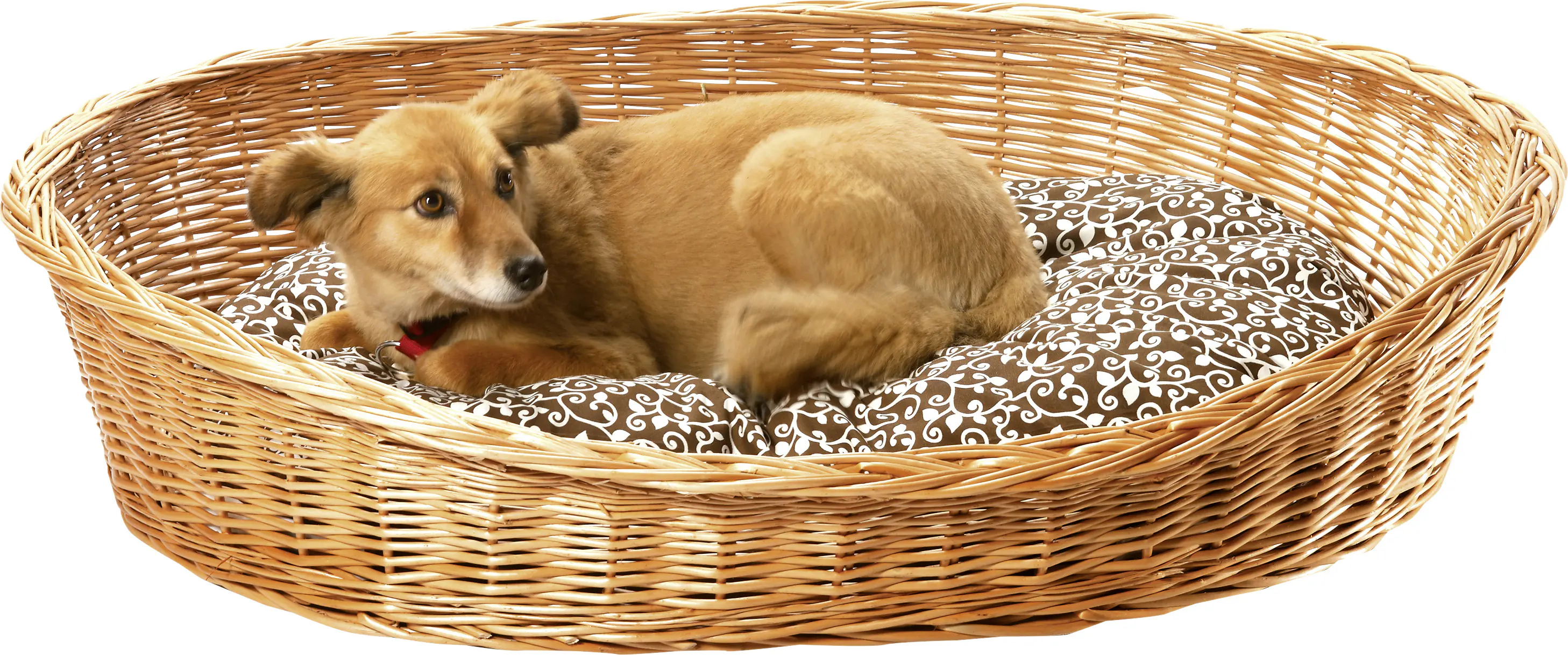 Aumüller Hundekorb gesottene Weide, 80 x 62 x 21 cm
