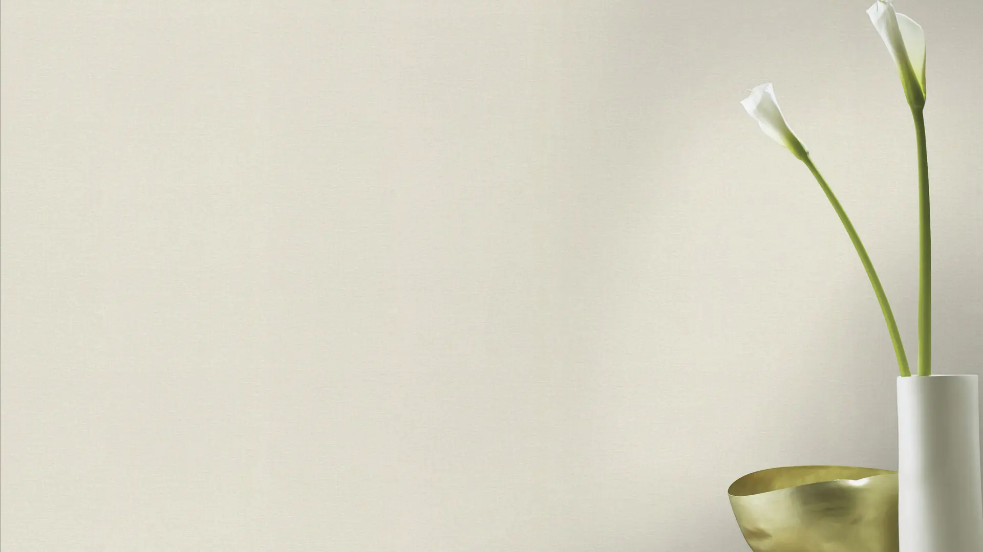 Rasch Vliestapete 555844 Grau-Hellgrau Uni 10,05 m x 0,53 m