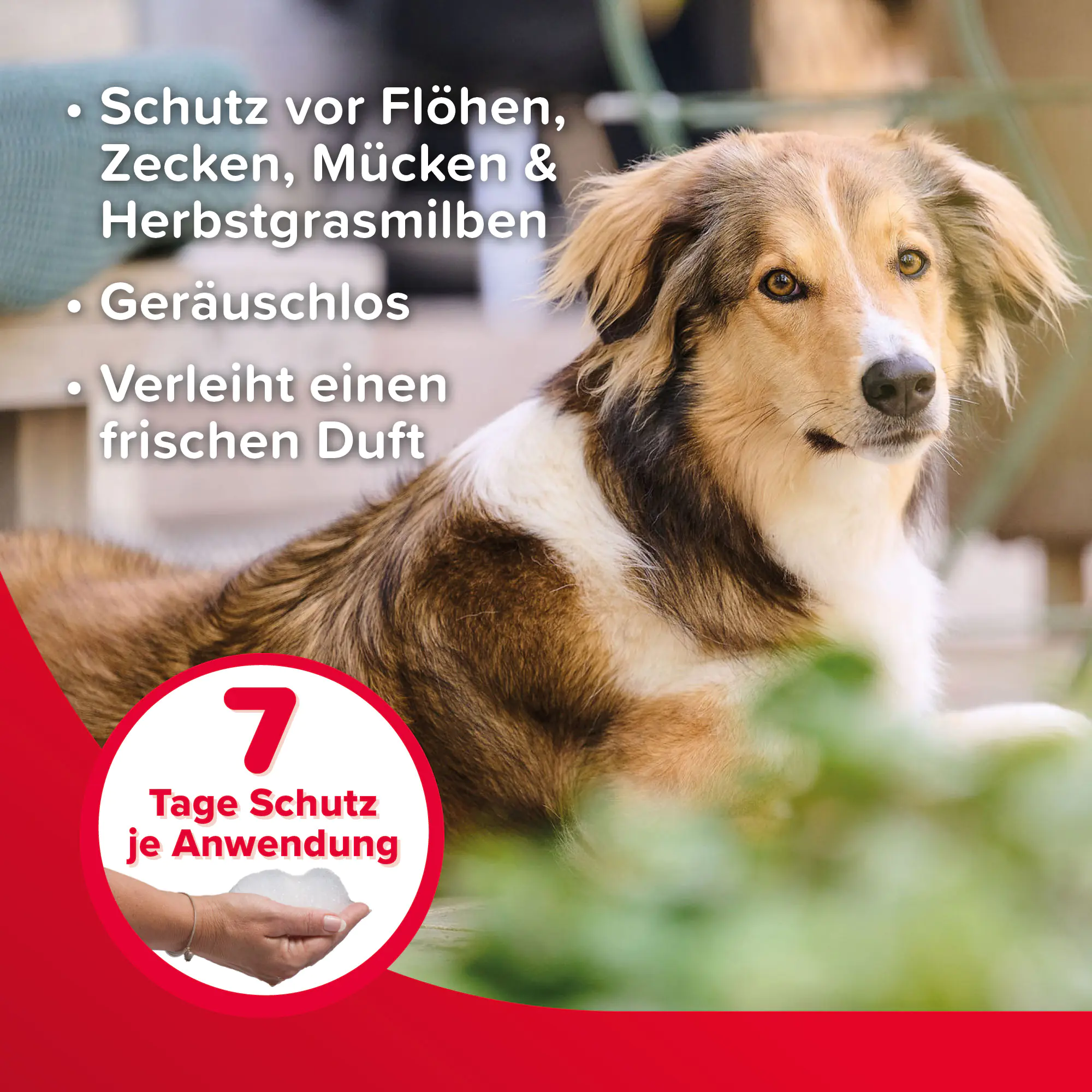Beaphar Shampoo Parasiten VETOplus für Hunde und Katzen 200 ml