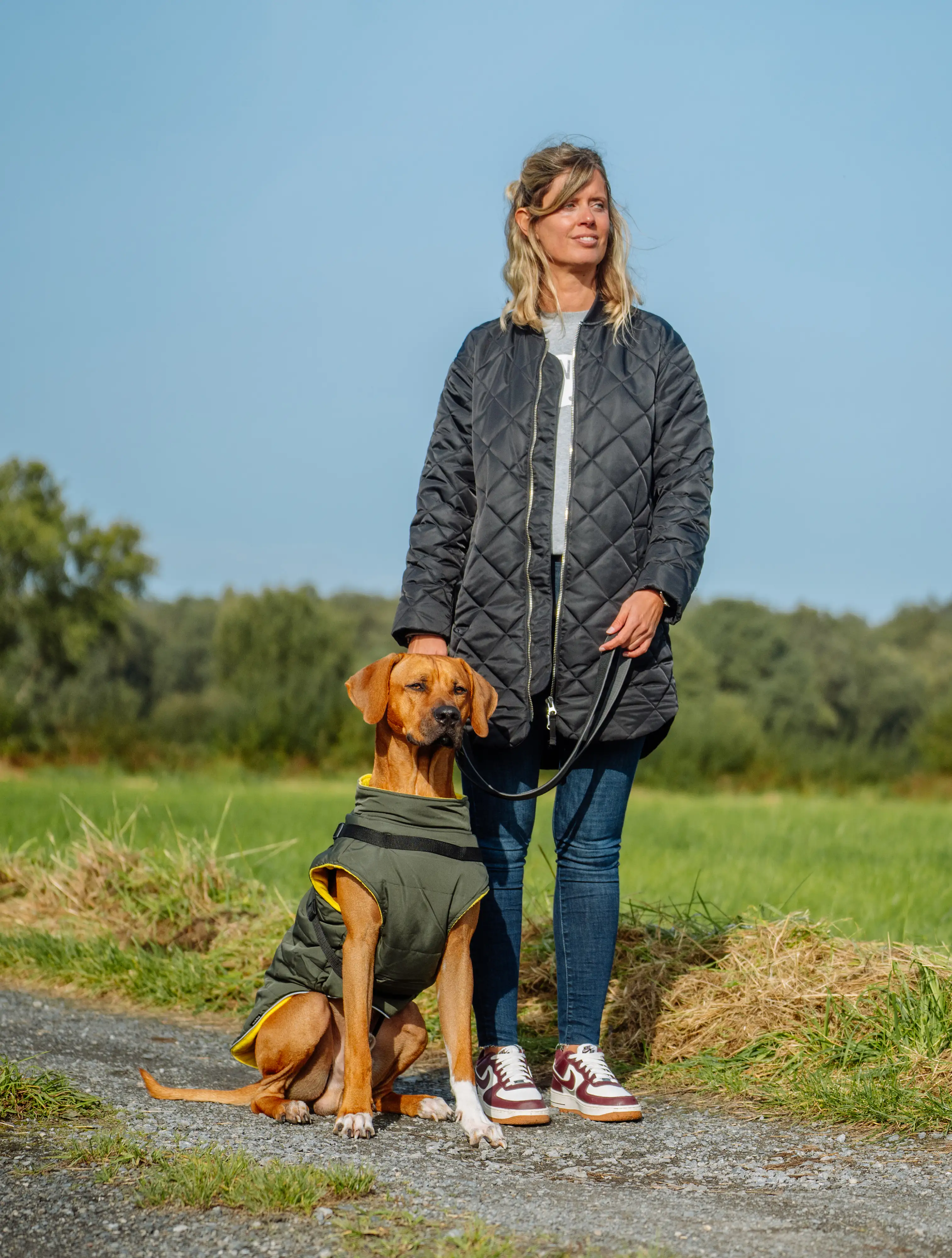 Nobby Hundemantel Sobak 2in1 oliv-gelb Nobby Hundemantel Sobak 2in1 oliv-gelb