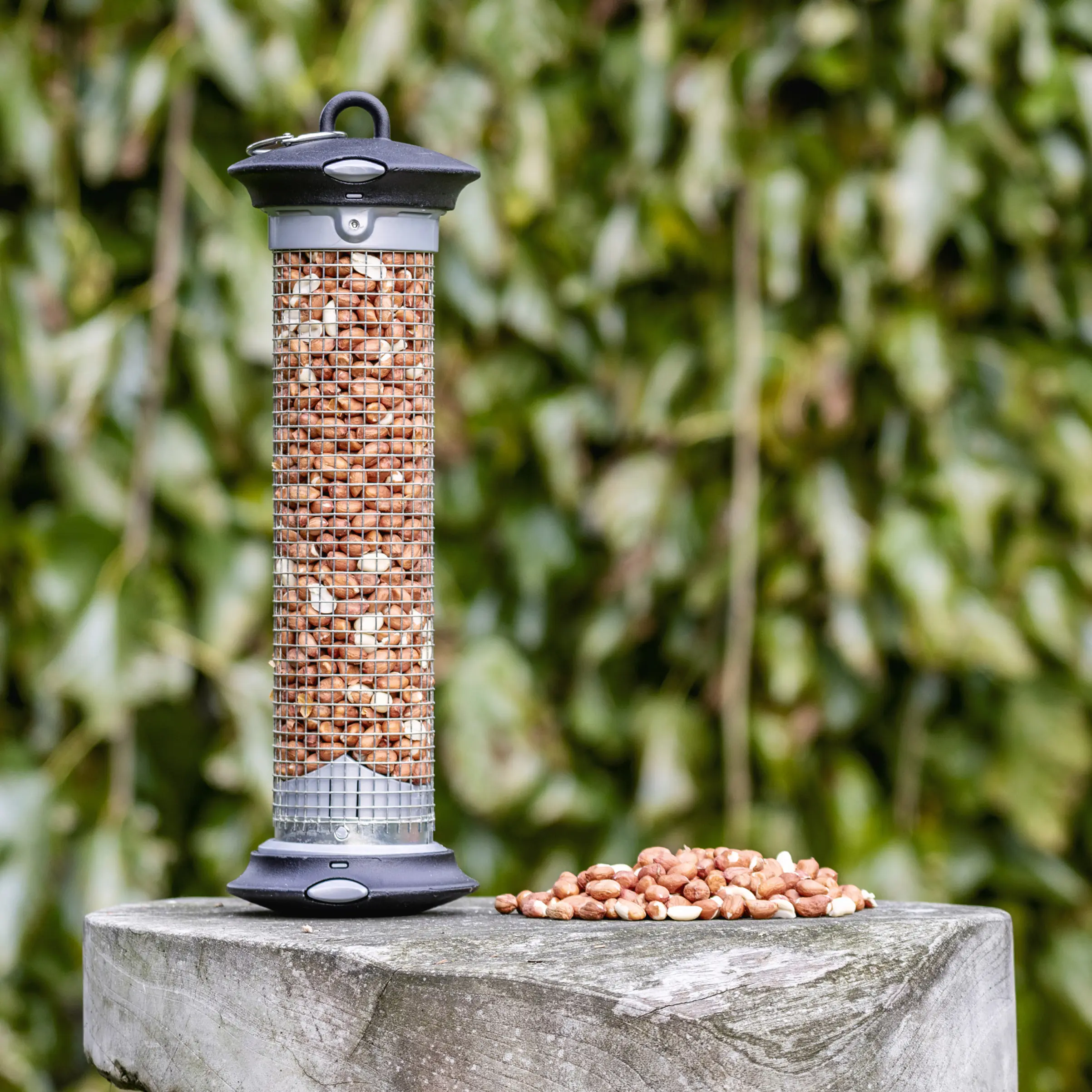 Premium Erdnüsse 2 kg