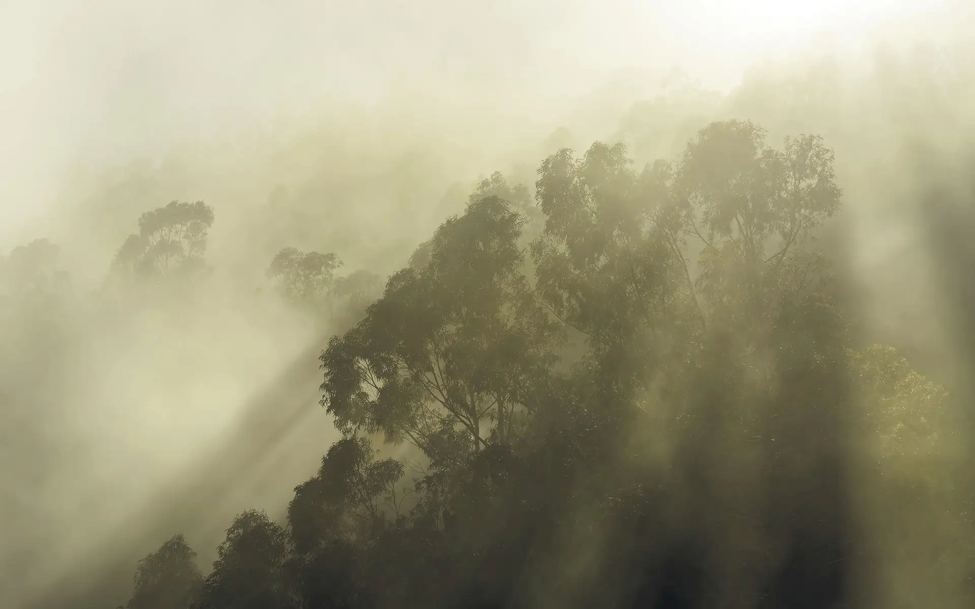 Komar Vlies Fototapete Mity Mountain 300 x 250 cm 