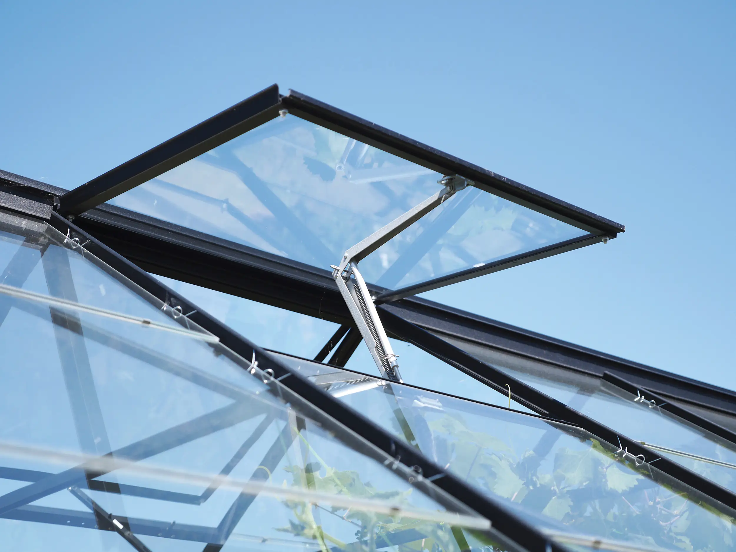 Vitavia Gewächshaus Uranus 6700 254 x 254 cm 6 mm Hohlkammerplatten Inkl. Fensterheber Vitavia Gewächshaus Uranus 6700 254 x 254 cm 6 mm Hohlkammerplatten Inkl. Fensterheber