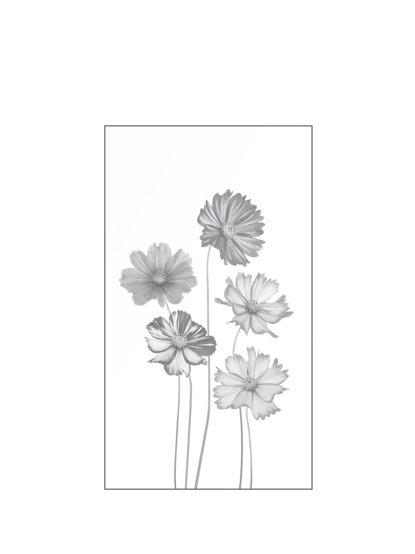 Ambiente Glaszaun Dekor 93 103 x 180 cm gehärtetes 8 mm Glas