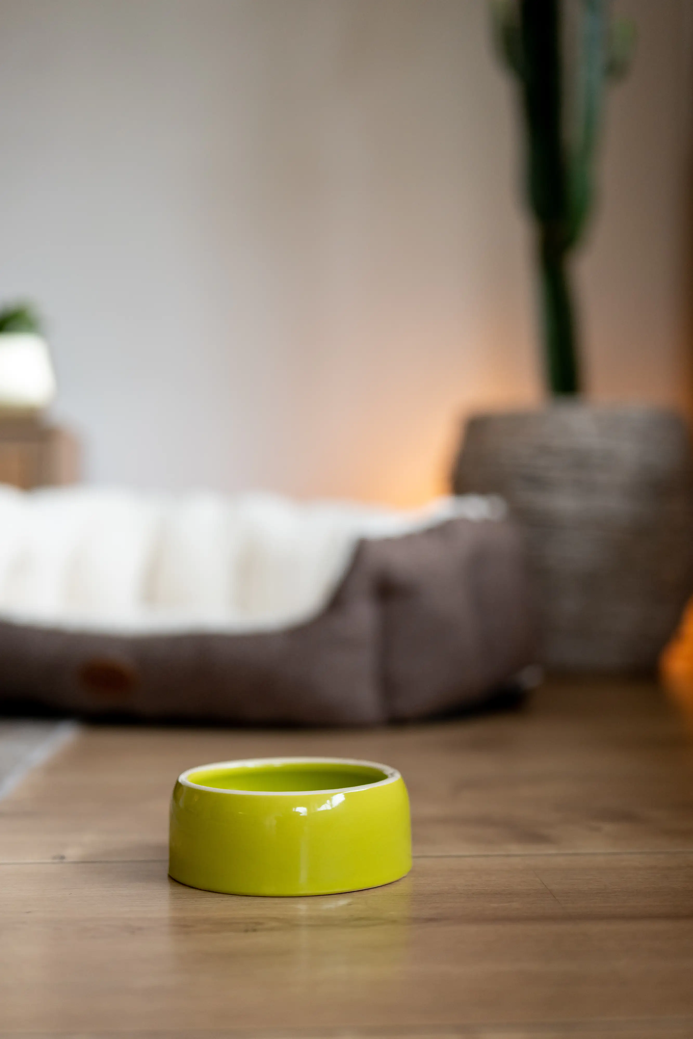 Nobby Keramik Futtertrog 250 ml grün für Hunde