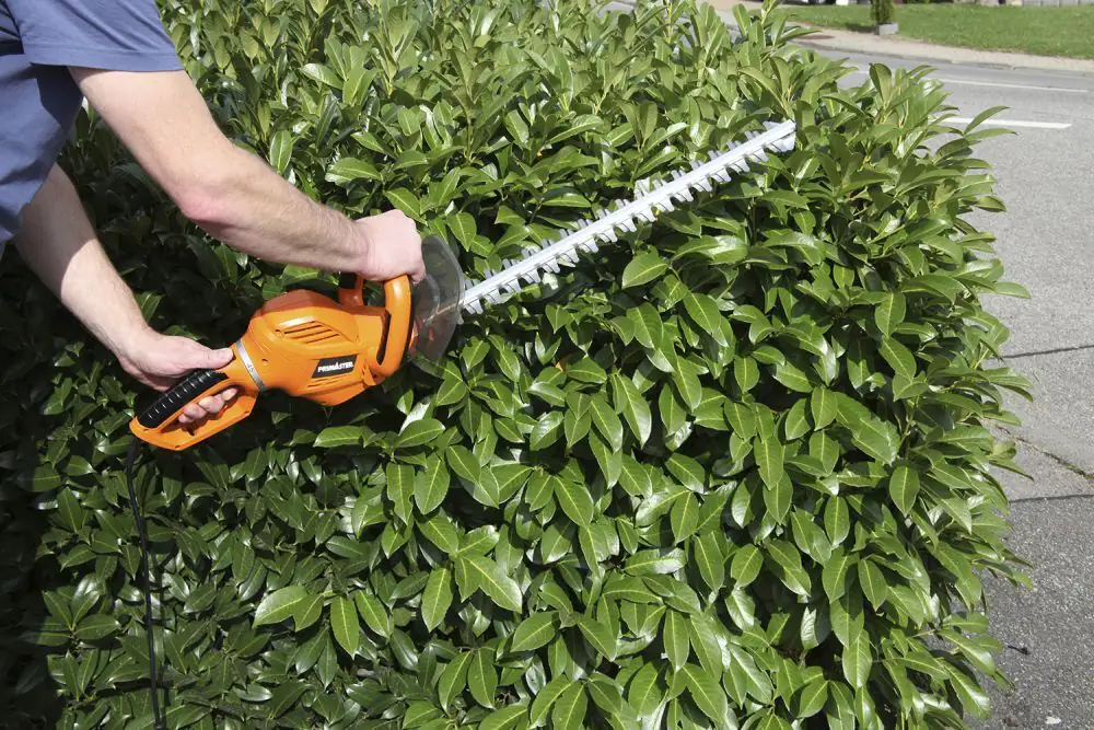 Primaster Elektro-Heckenschere PMHS 7560 60 cm Schnittlänge