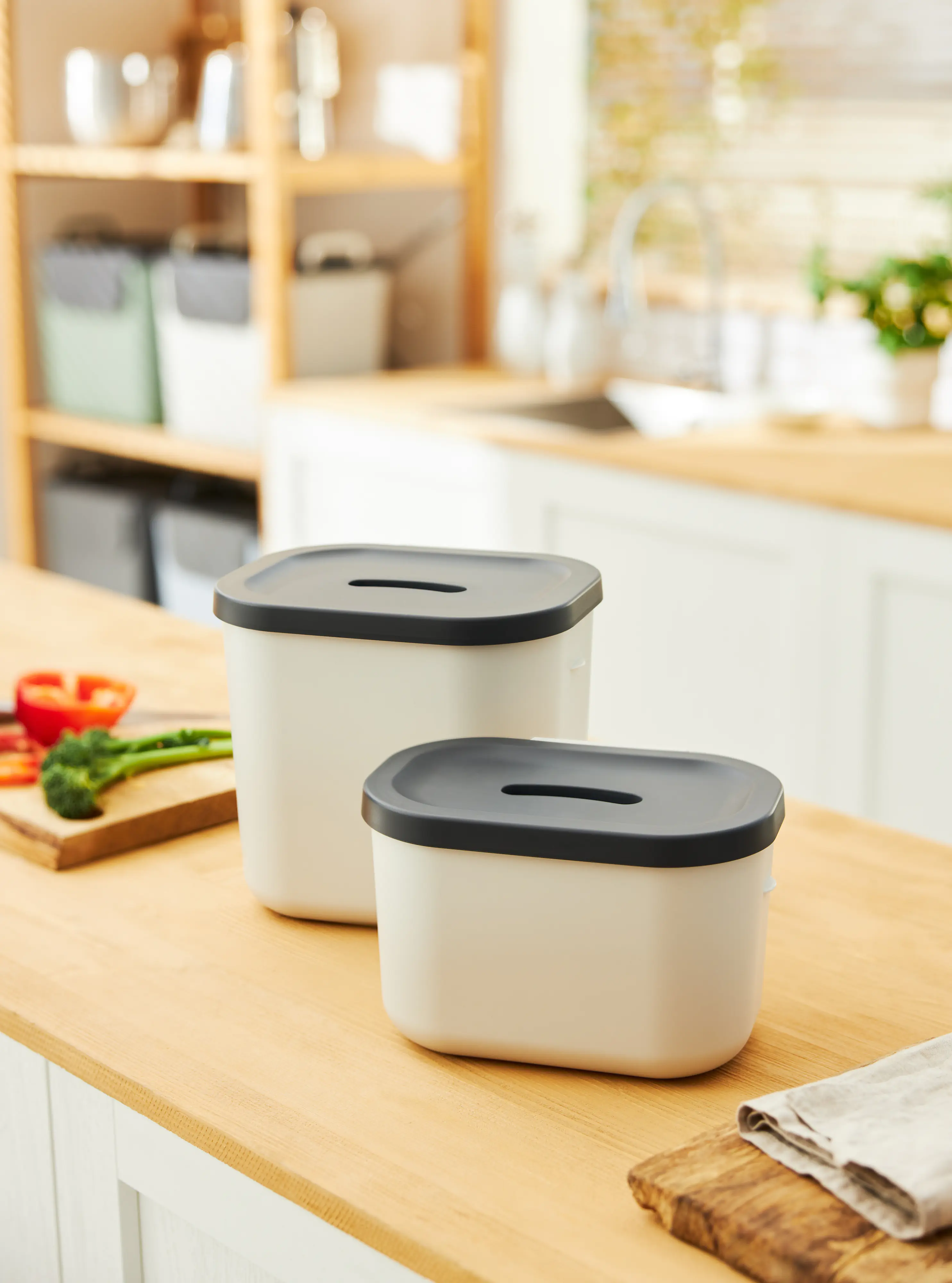 Rotho Komposteimer Jive Bio 3,2 L schwarzweiß