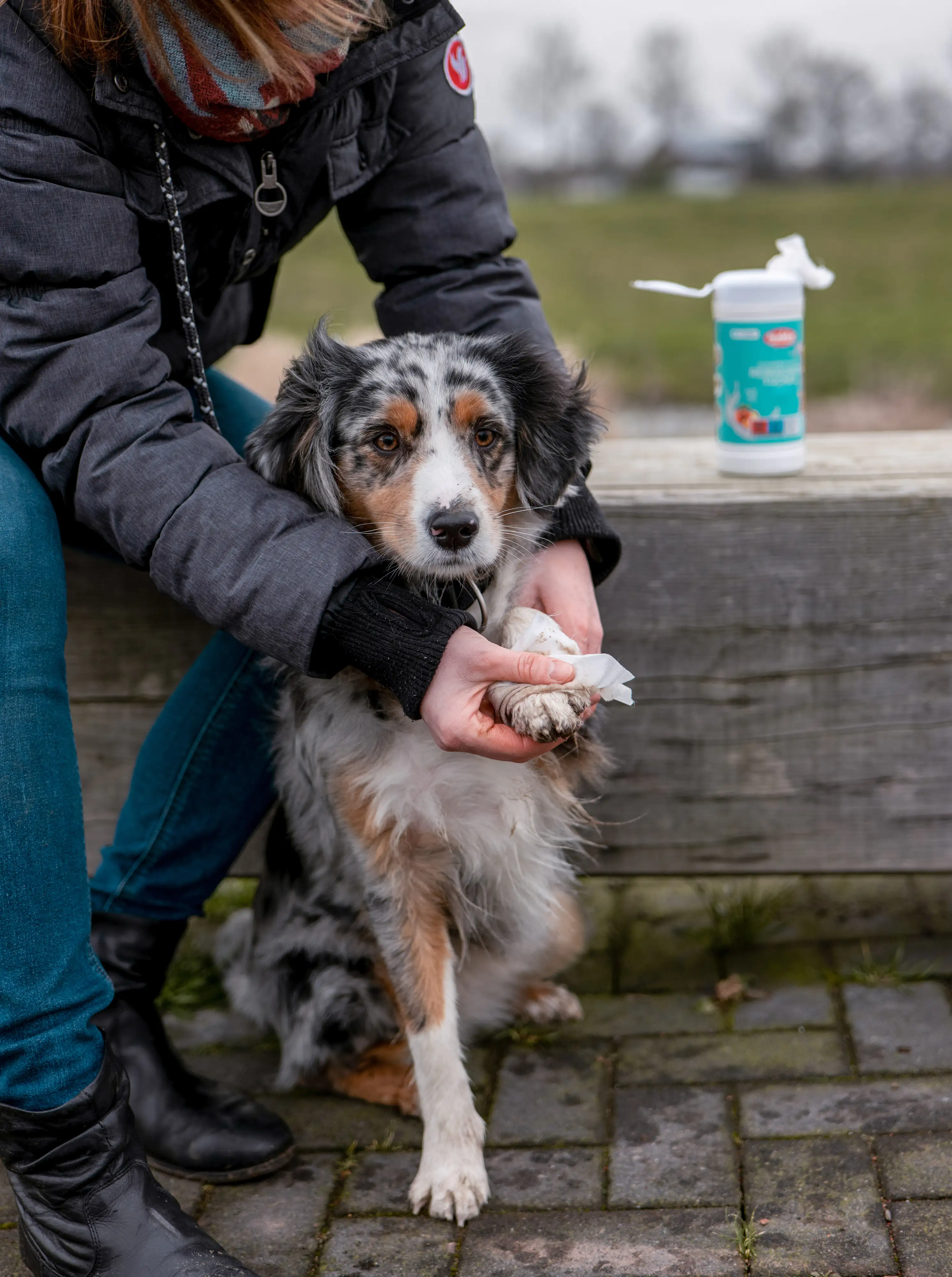 Nobby Universal Reinigungstuch 70 Tücher je Packung. Nobby Universal Reinigungstuch 70 Tücher je Packung.