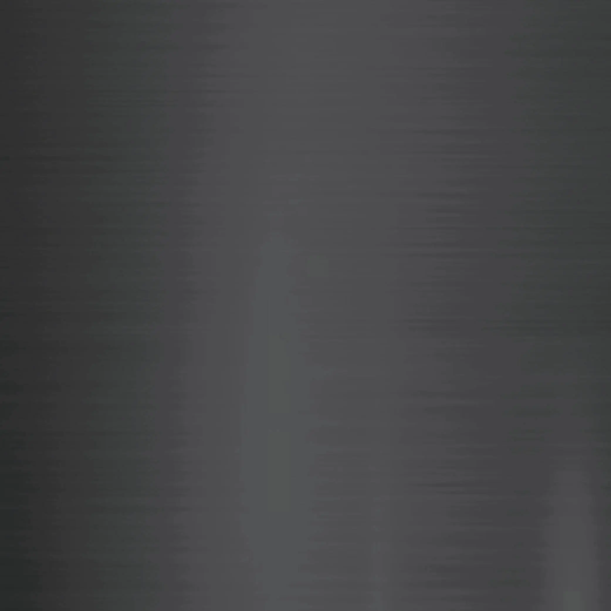Wetwall Profil H-Verbindung 244 cm schwarz matt