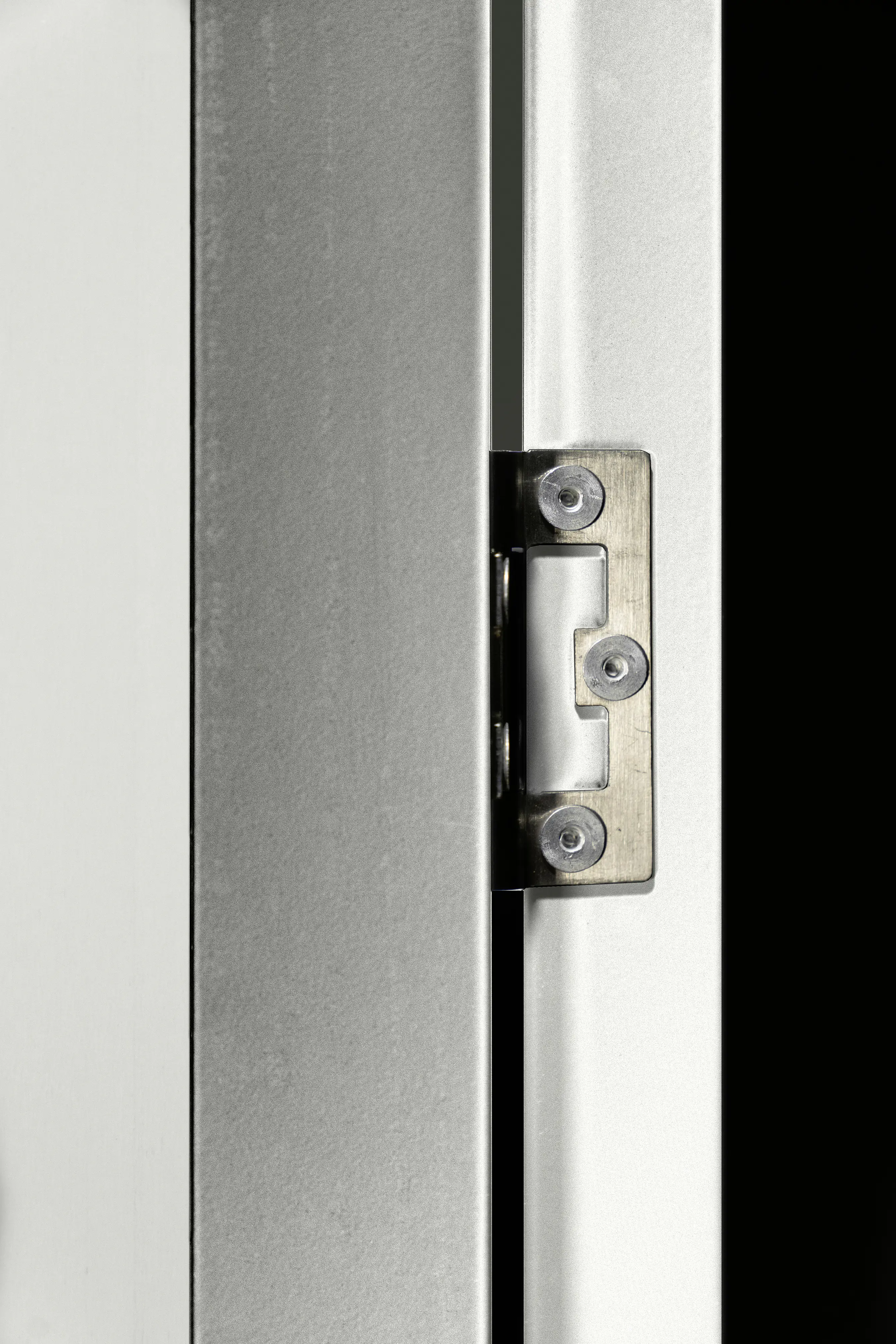 Globel Schwingtür-Set 1 67 x 172 cm silber-metallic