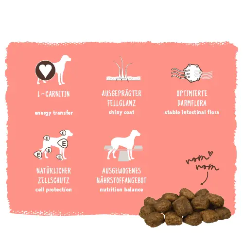 Bosch Active Trockenfutter für aktive Hunde Adult 1 kg mit Geflügel Bosch Active Trockenfutter für aktive Hunde Adult 1 kg mit Geflügel