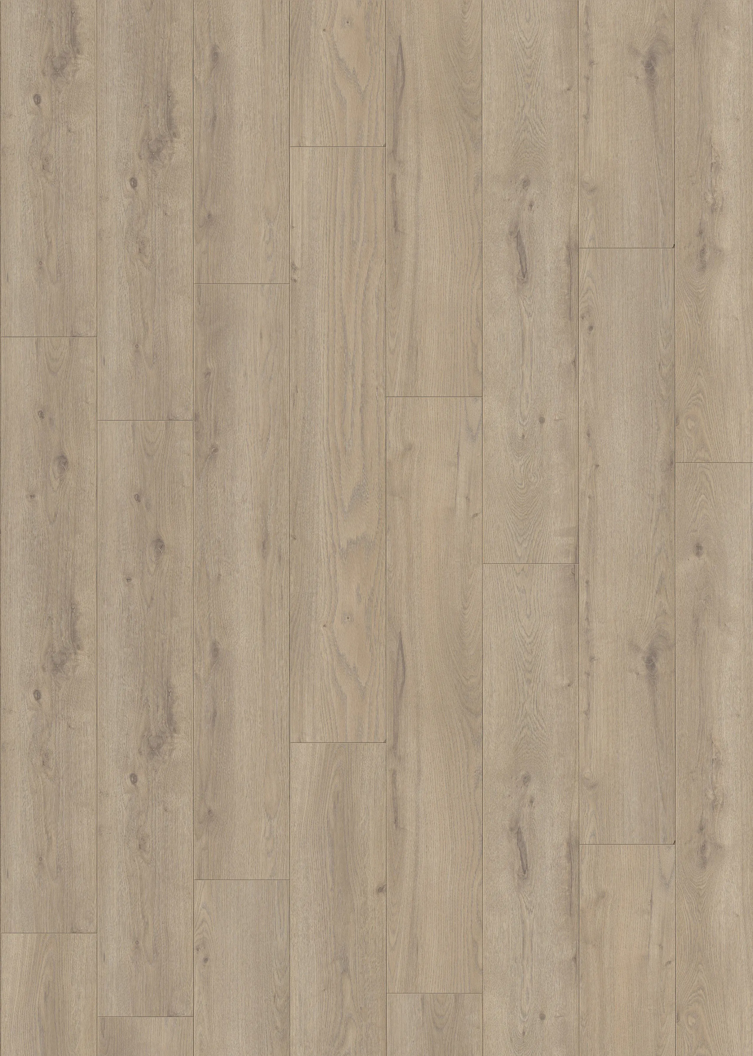 Classen Laminat Megaloc Aquaprotect 128,5 x 19,2 cm 8 mm Oak light brown Classen Laminat Megaloc Aquaprotect 128,5 x 19,2 cm 8 mm Oak light brown