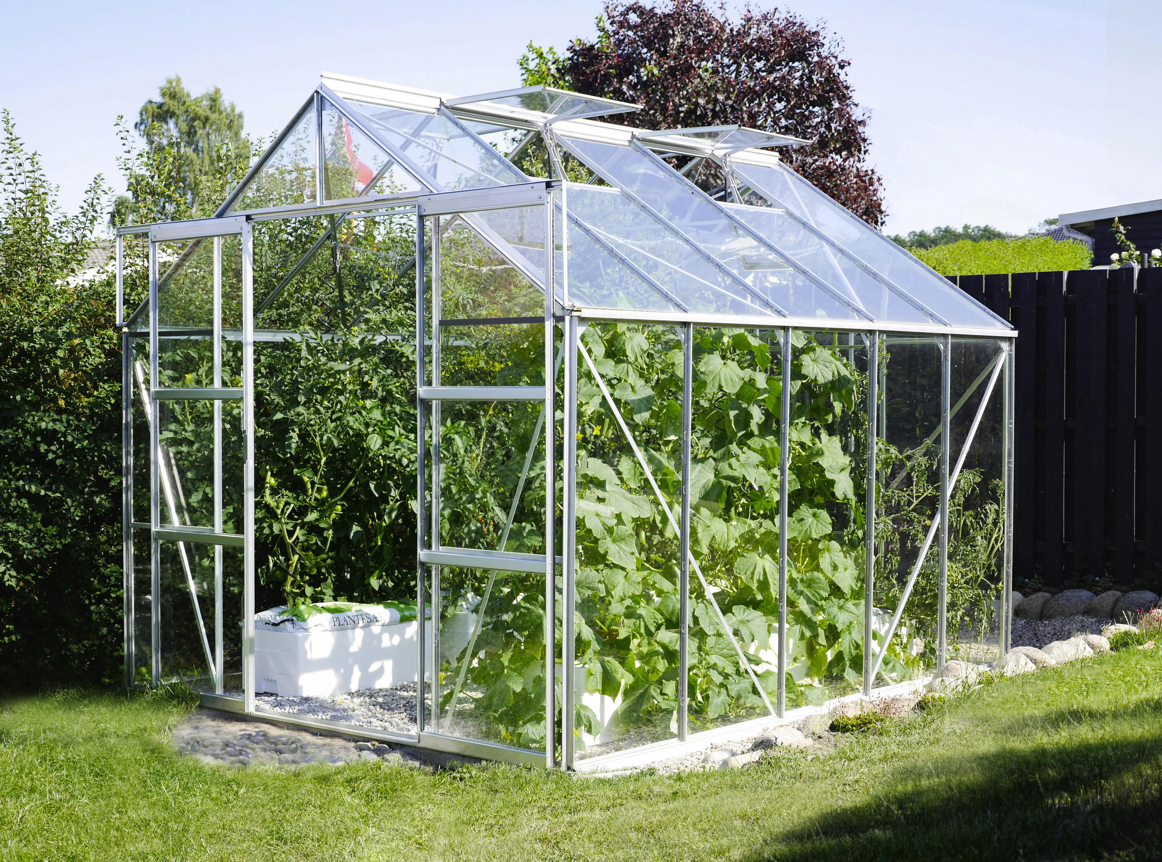 Vitavia Gewächshaus-Set Uranus 8300 ESG 3 mm alu 254 x 317 cm 
