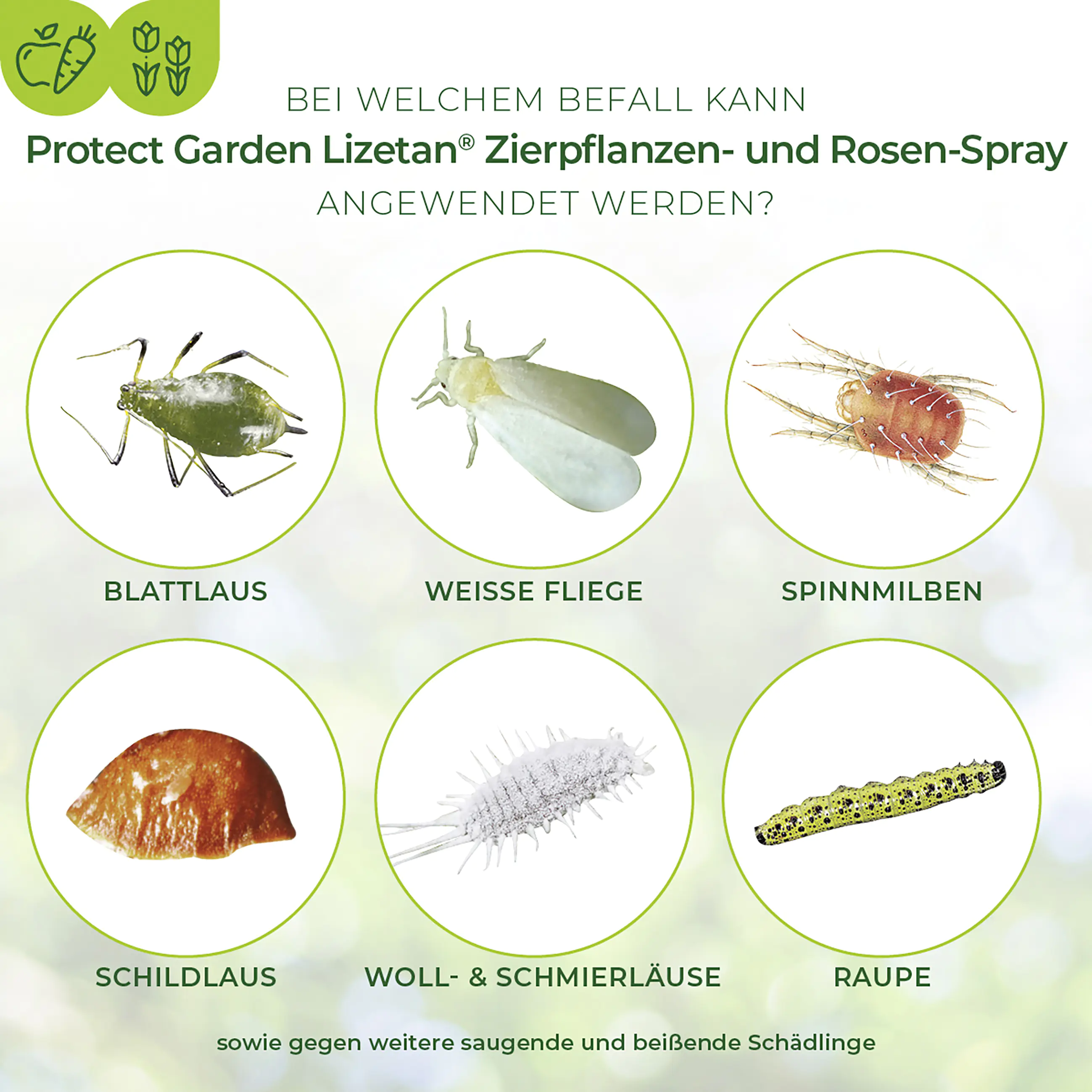 Protect Garden Lizetan Zierpflanzen- & Rosen-Spray AF 750 ml Protect Garden Lizetan Zierpflanzen- & Rosen-Spray AF 750 ml