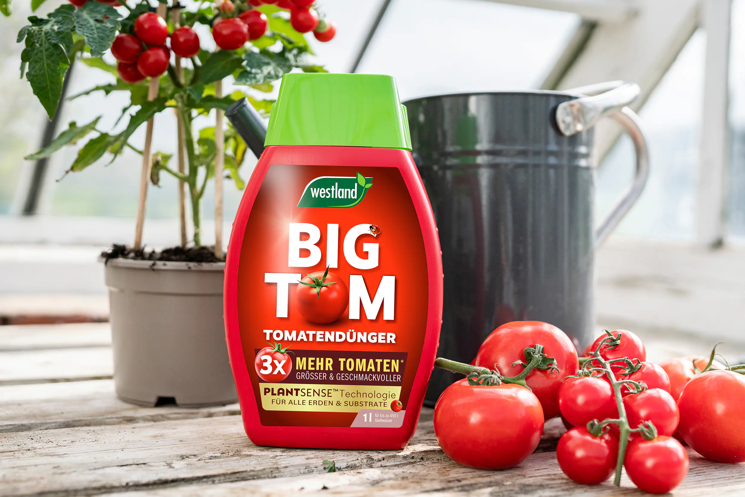 Westland Big Tom Tomatendünger 1 l