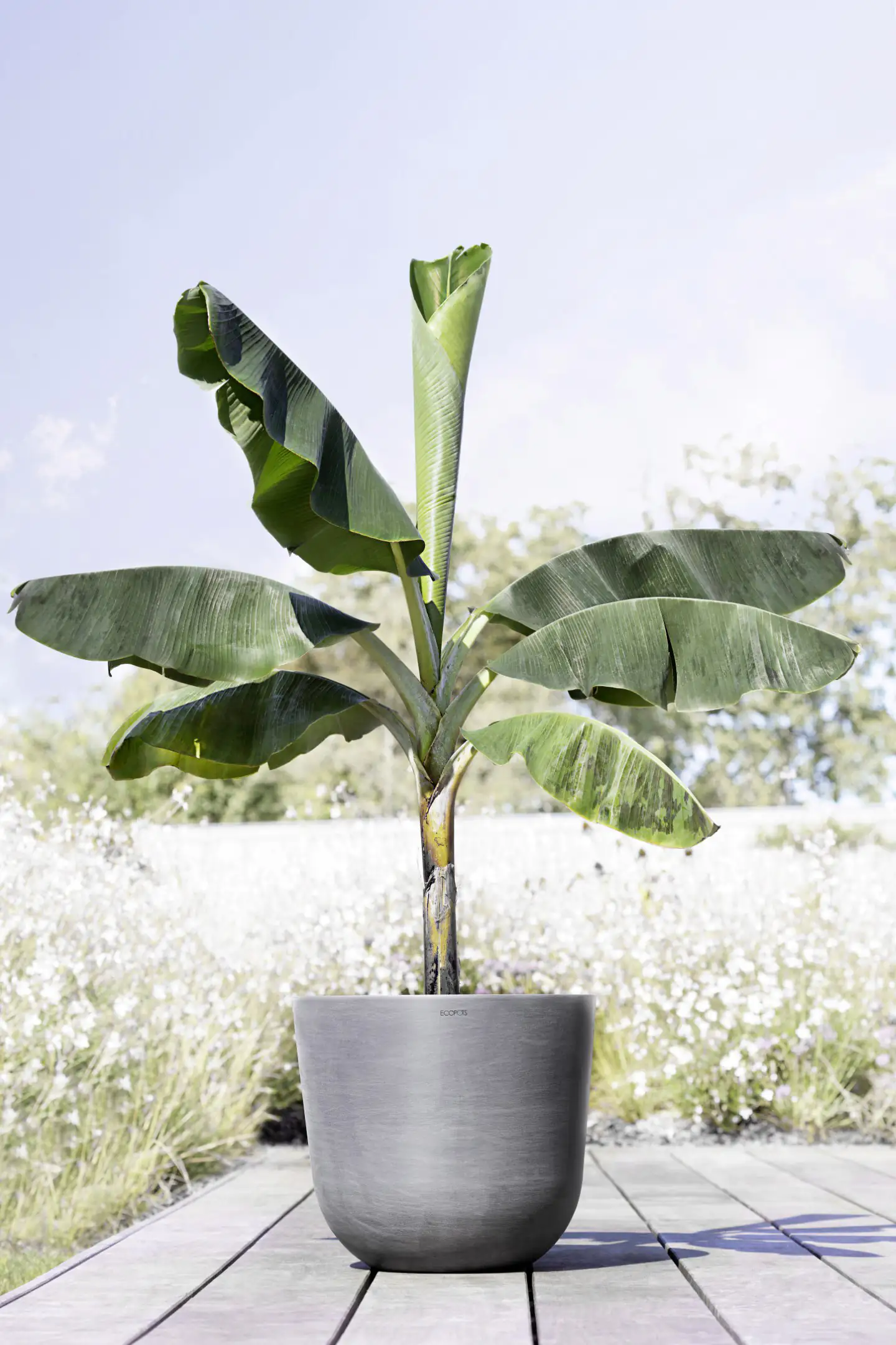 Ecopots Pflanztopf Oslo Ø 45 x 39,2 cm grau Ecopots Pflanztopf Oslo Ø 45 x 39,2 cm grau