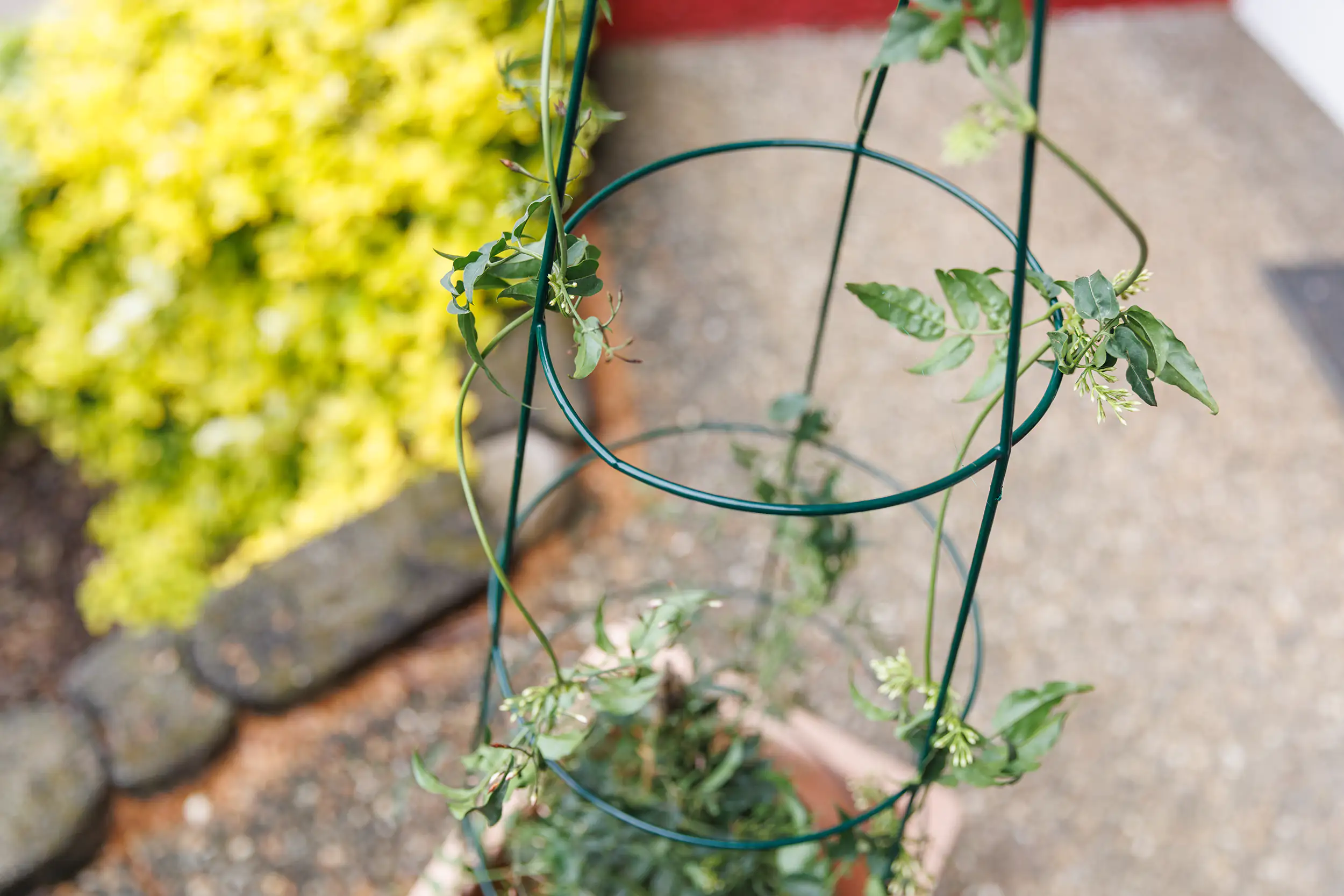 TrendLine Rankstütze Ø 35 x 105 cm