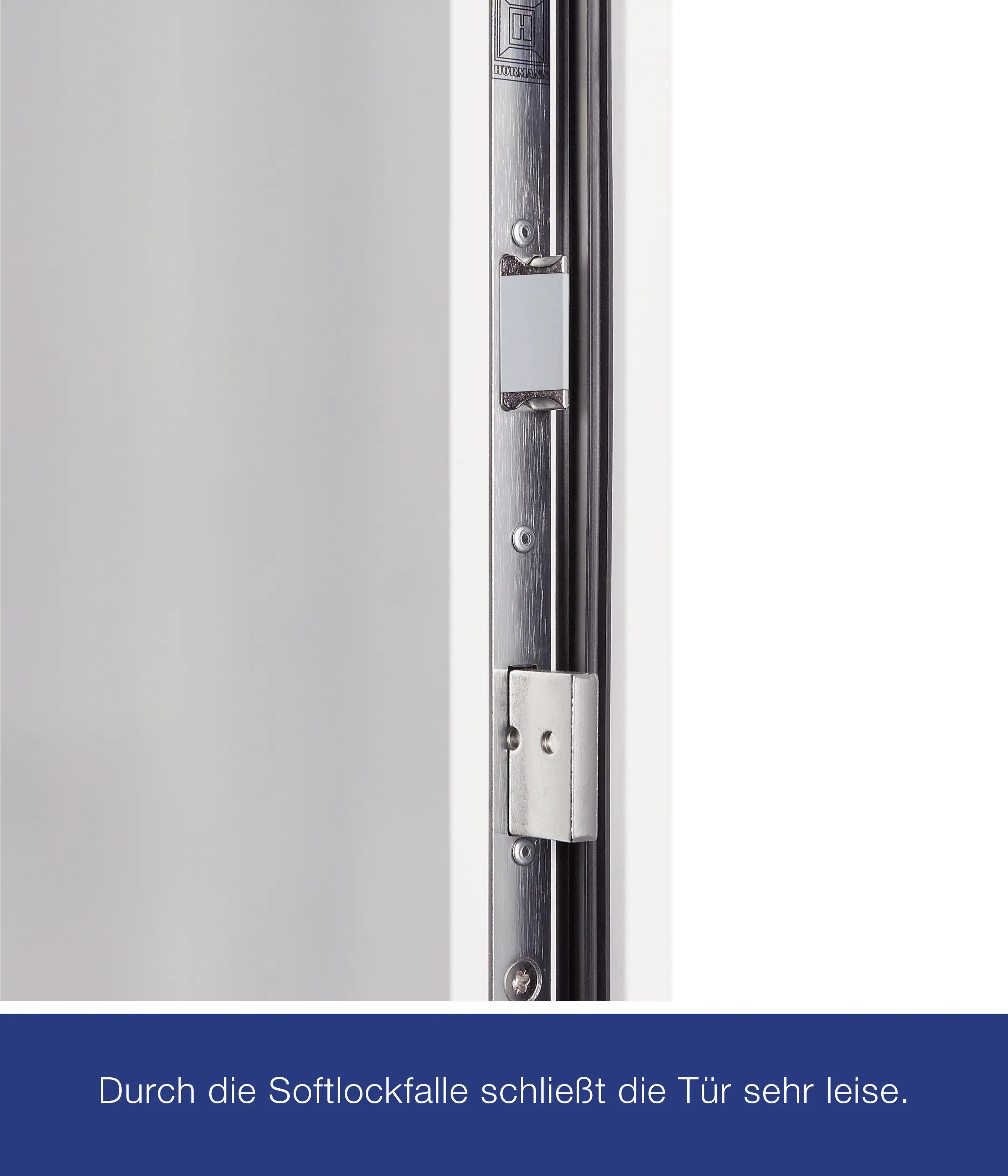 Hörmann Haustür Thermo65 Motiv 610S anthrazitgrau Rechts 110 x 210 cm Hörmann Haustür Thermo65 Motiv 610S anthrazitgrau Rechts 110 x 210 cm