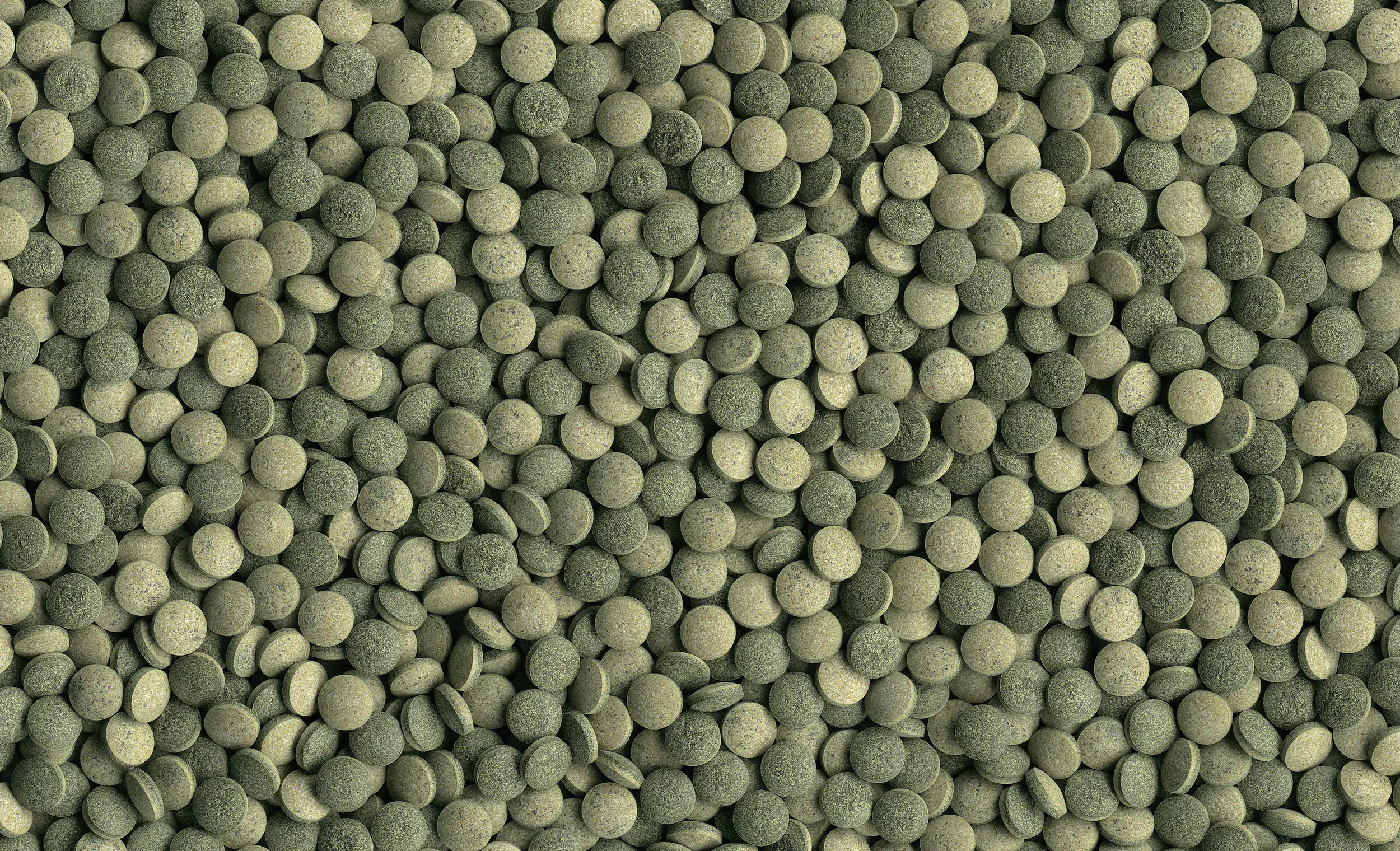 Tetra Pleco Tablets 58 58 Tabletten