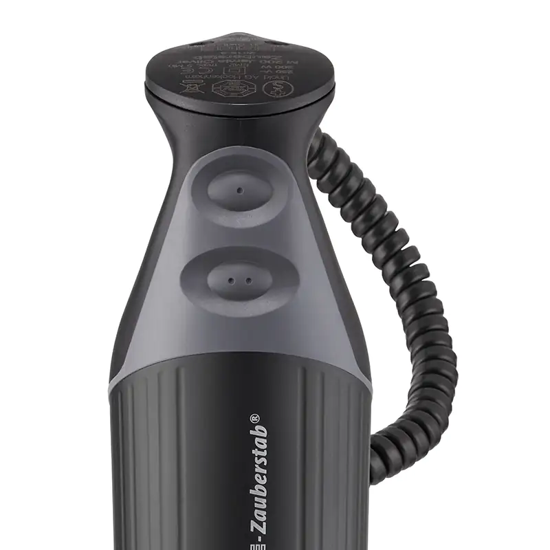 ESGE Stabmixer M 200 BBQ 200 W Rezeptbuch Zauberstab