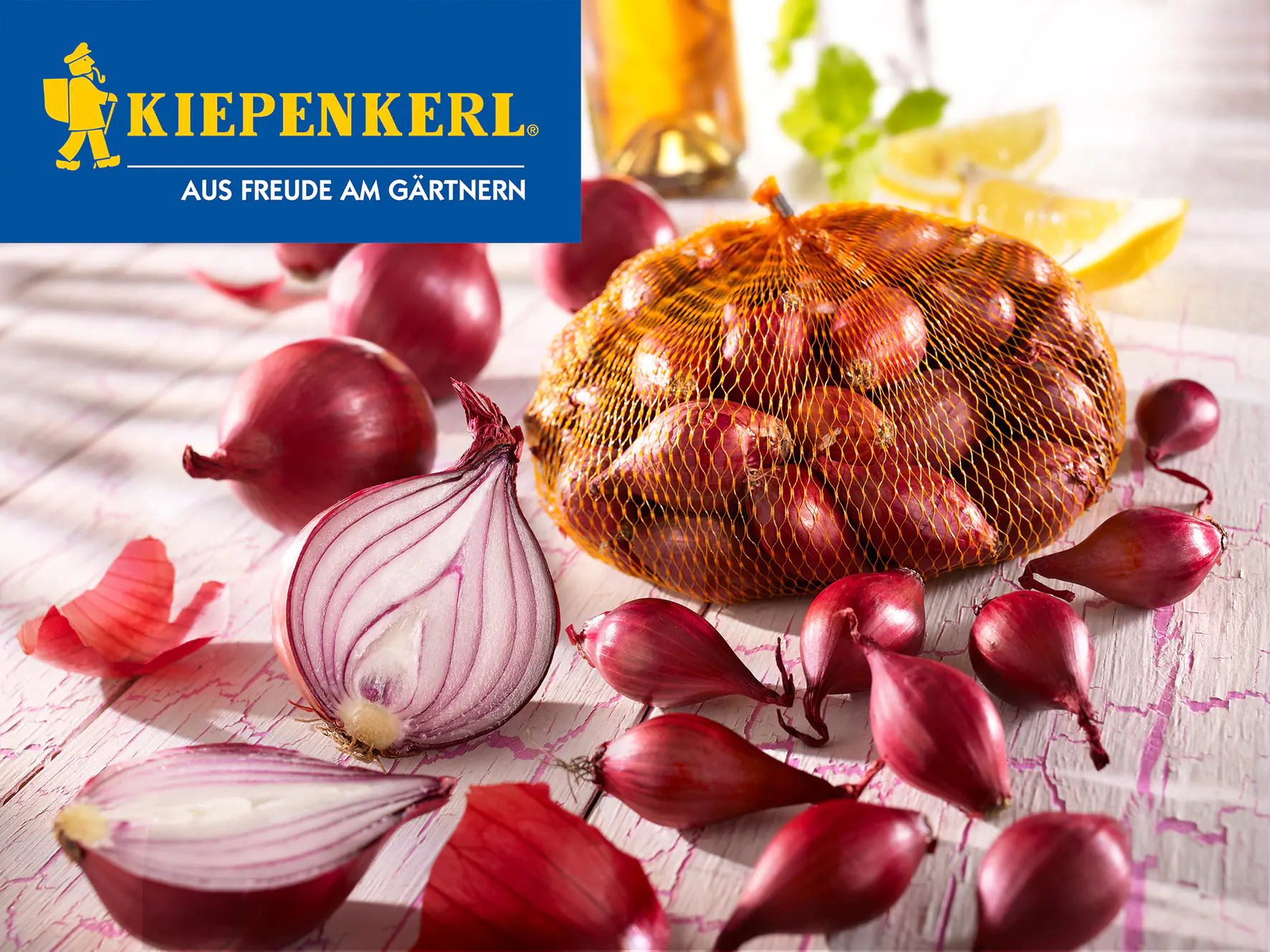 Kiepenkerl Pflanzzwiebeln Rote Steckzwiebeln Allium cepa, Inhalt: 250 g