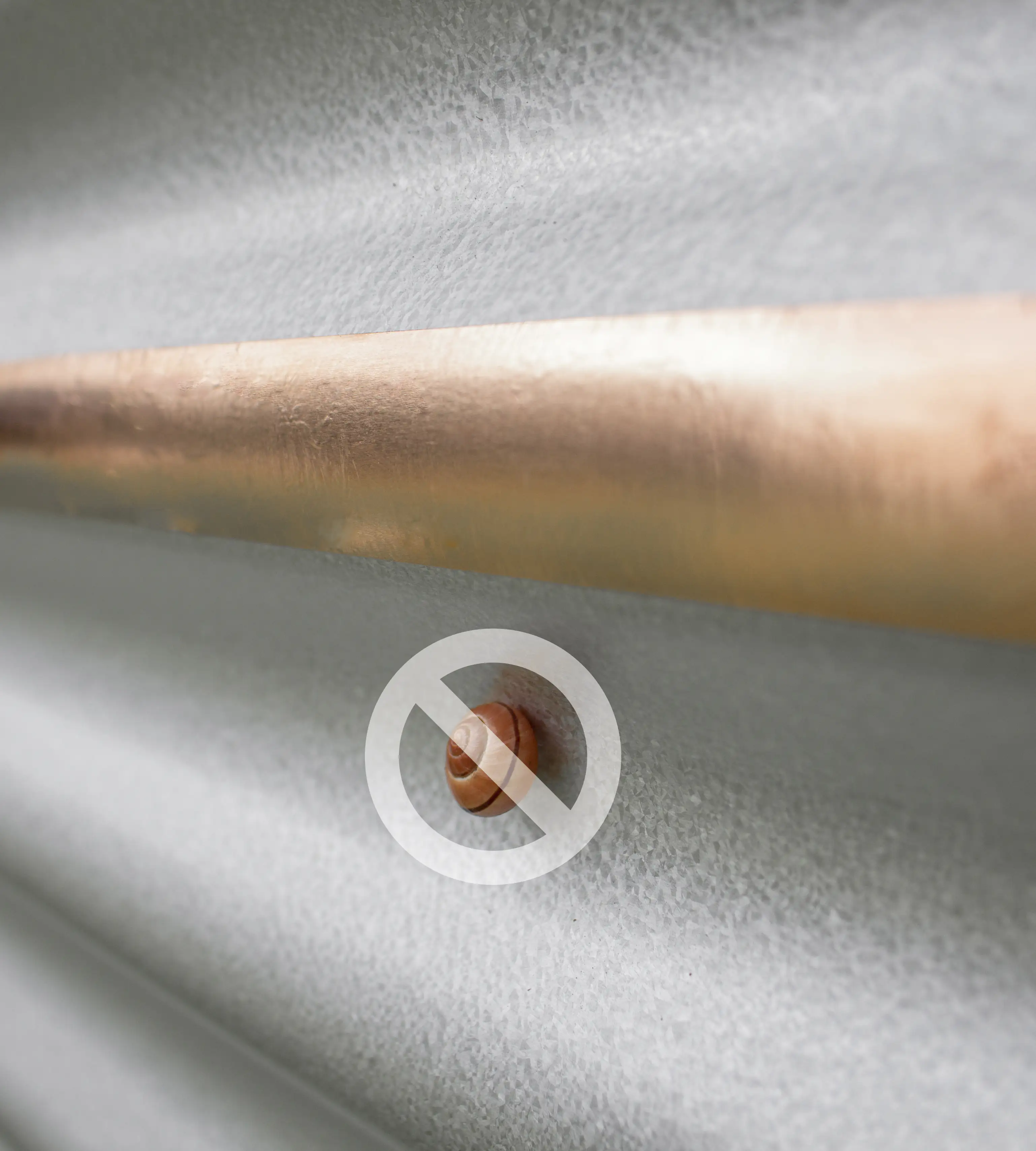 4005717203146_2605382 Vitavia Schneckenschutz 5 m Rolle